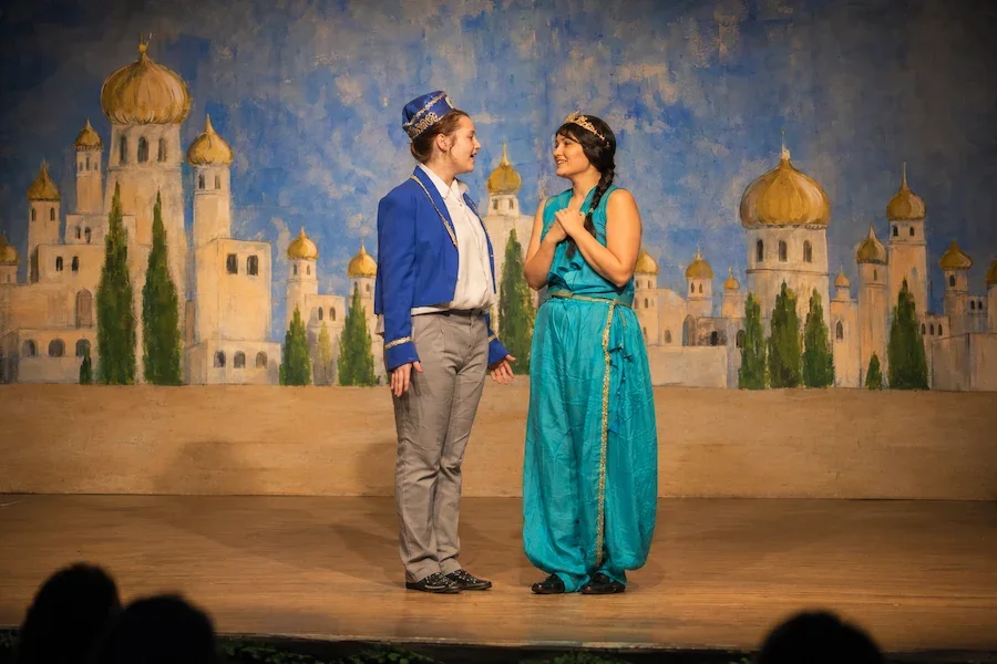 Aladdin Pantomime Characters: A Complete Guide