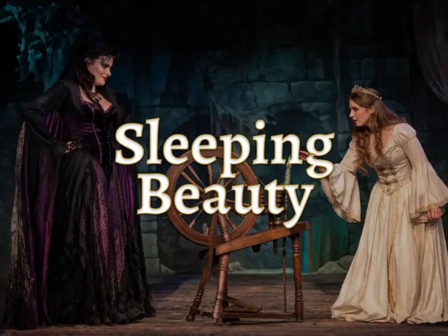 Sleeping Beauty Pantomime Script