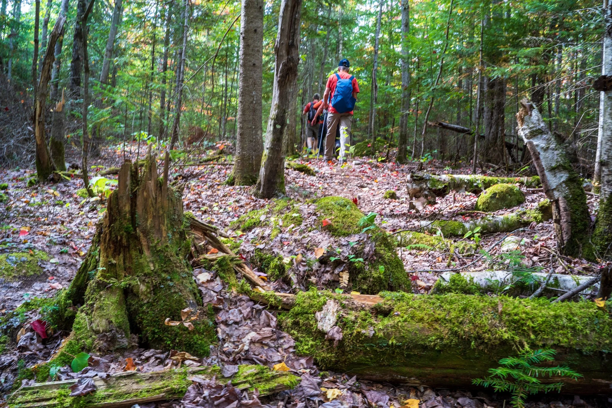 La Tuque Plein Air-07.jpg