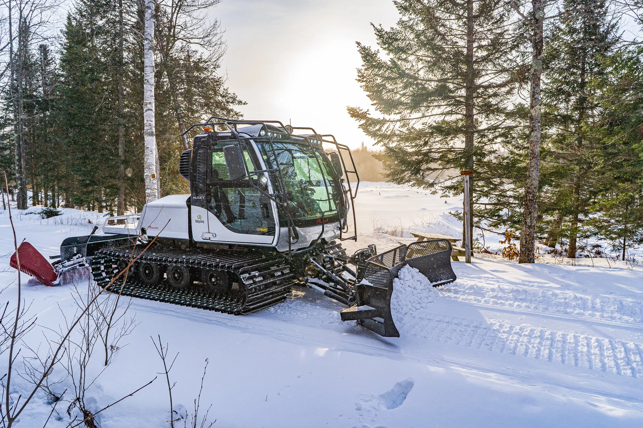 Dameuse à l'aube parc national du Mont-Orford
