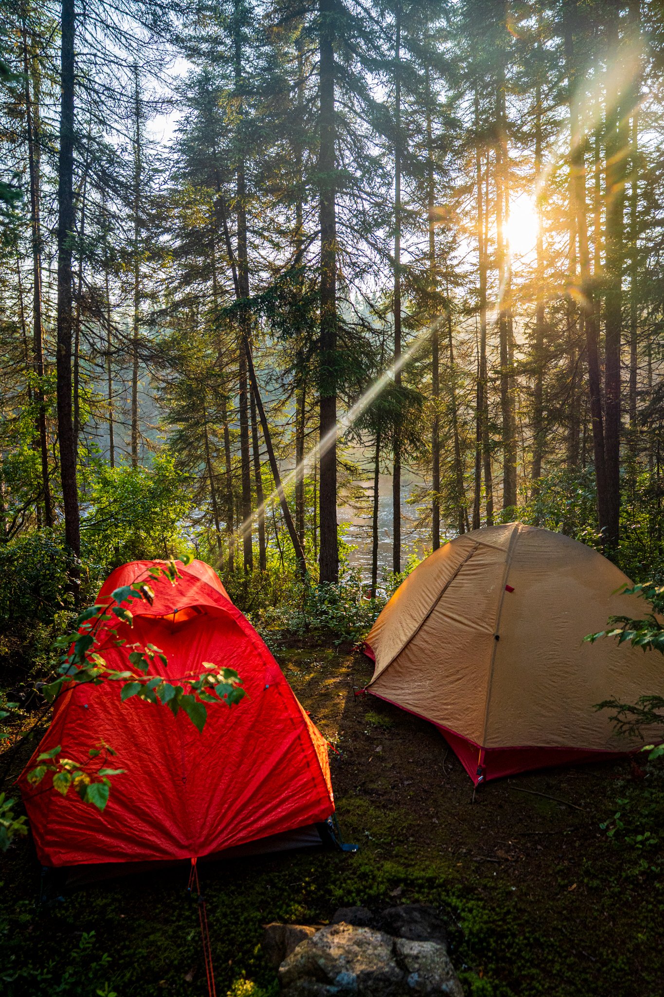 Camping réserve faunique La Vérendrye