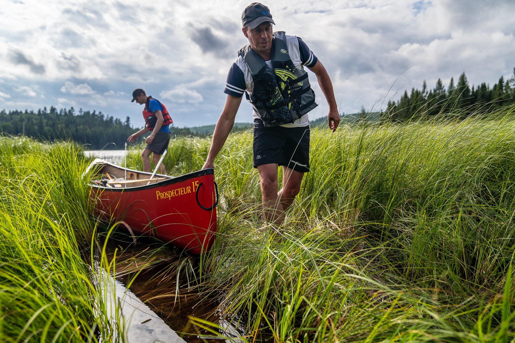 Dans les joncs lac Allard.jpg