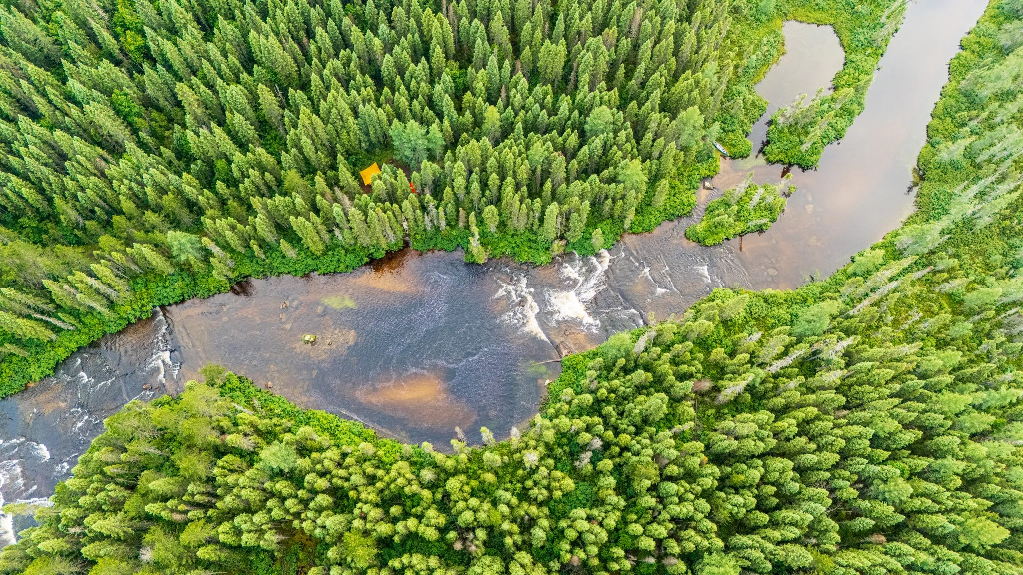 Canot-camping réserve faunique La Vérendrye