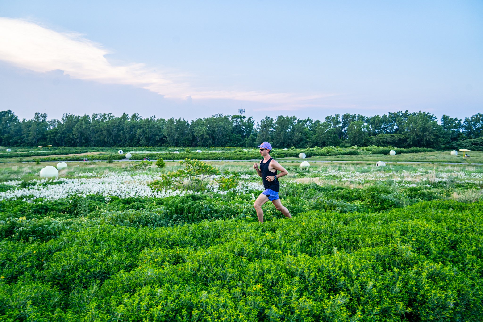 Course parc Frédéric-Back Montréal