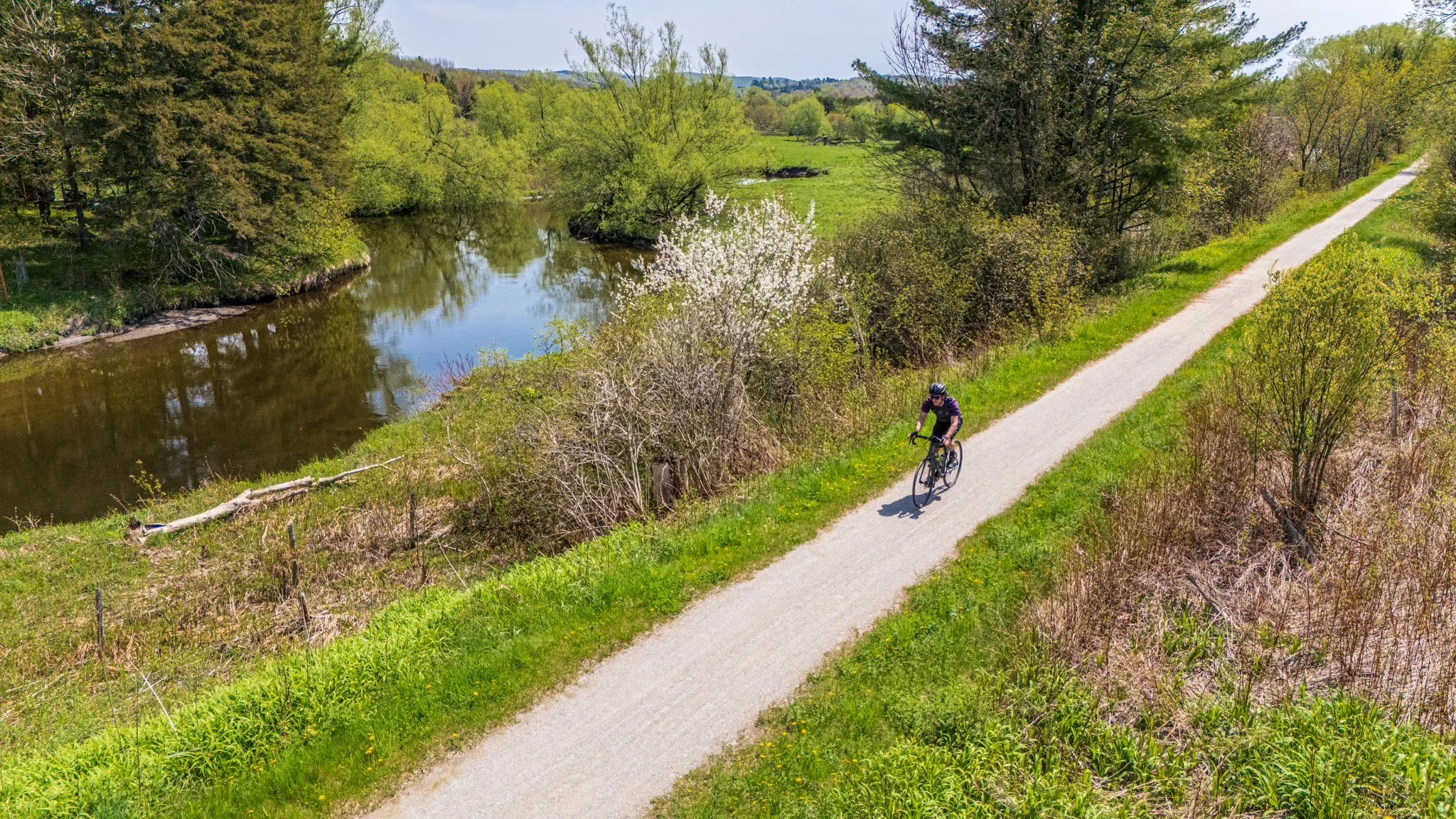 Tomifobia Cantons-de-l'Est
