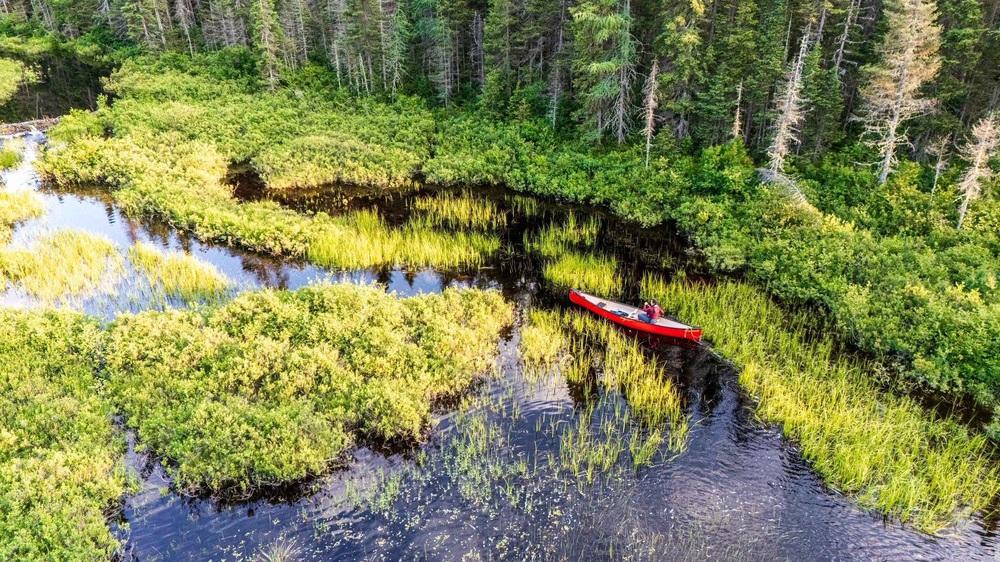Camping réserve faunique La Vérendrye