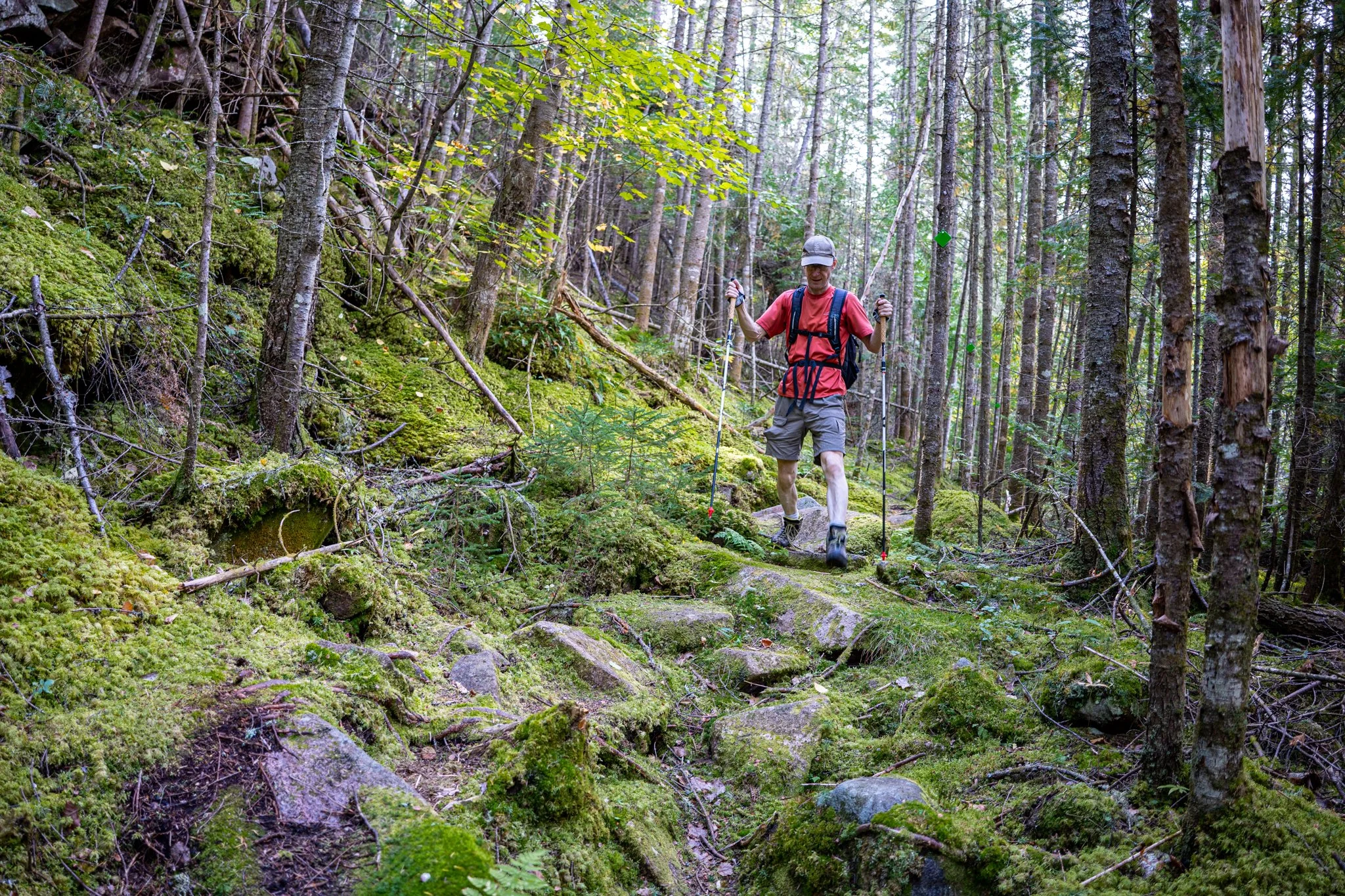 La Tuque Plein Air-04.jpg
