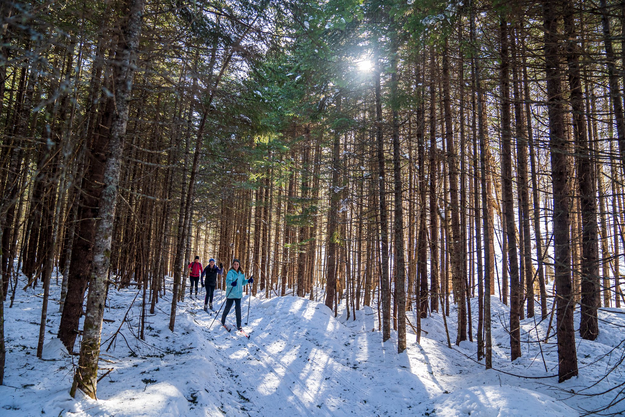 Ski de fond Mont-Sainte-Anne