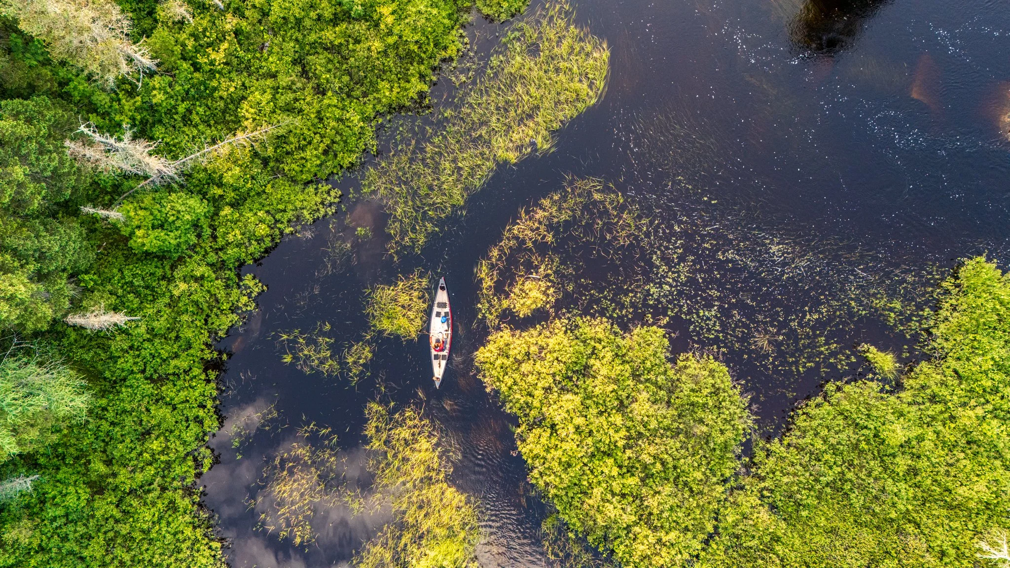 Camping réserve faunique La Vérendrye