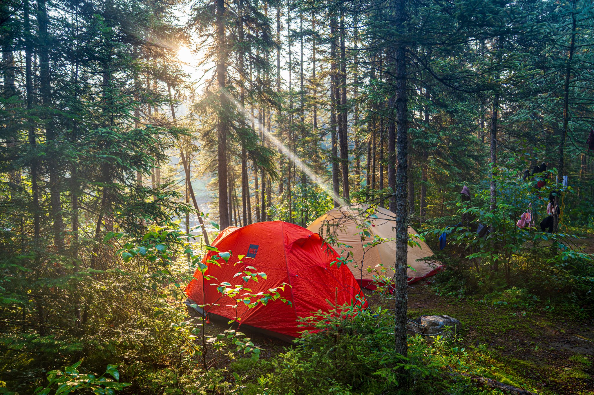Camping réserve faunique La Vérendrye