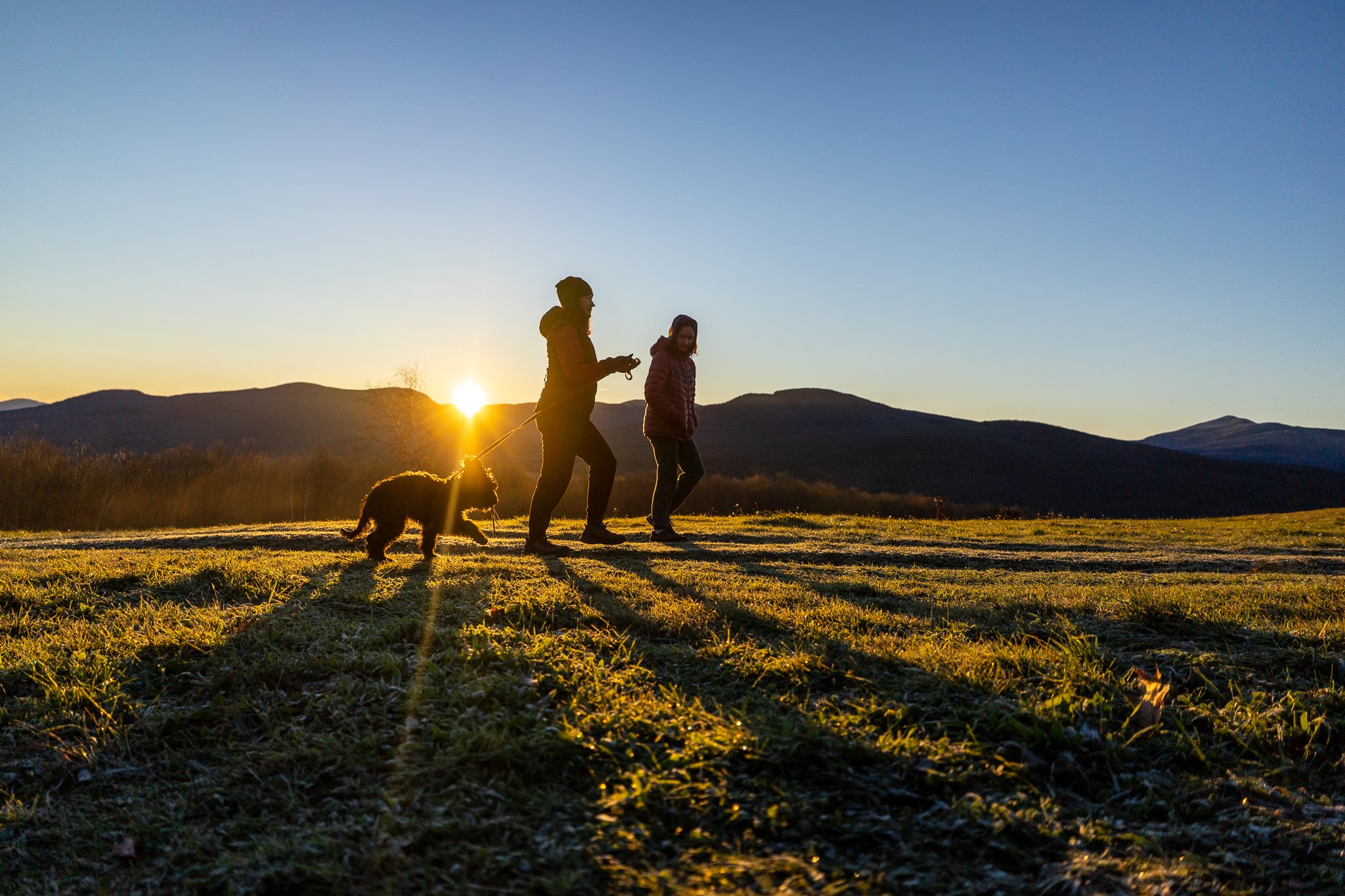 Rando avec chien, Au Diable Vert, Sutton