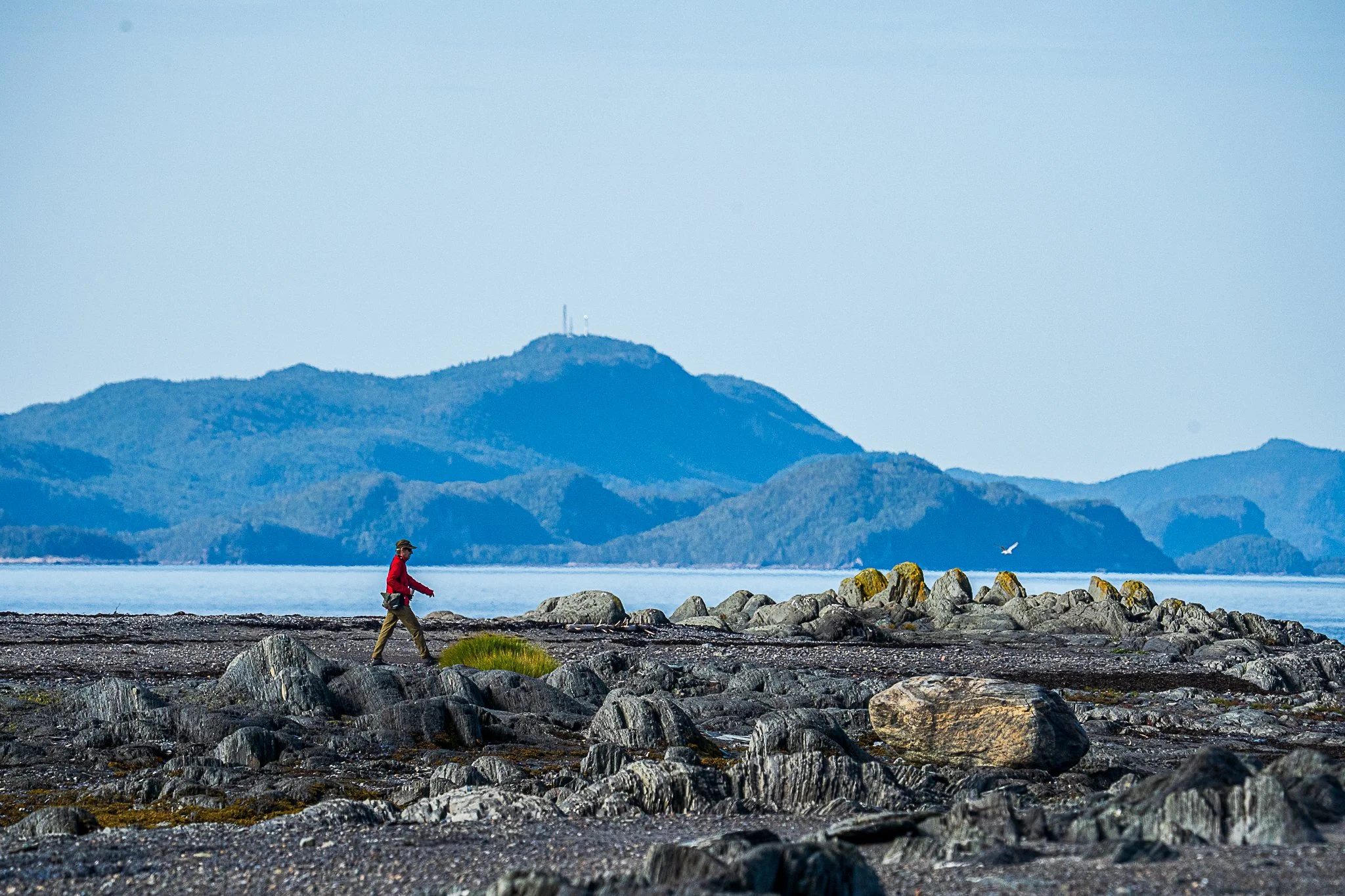 Île Saint-Barnabé (Rimouski), vue sur parc national du Bic