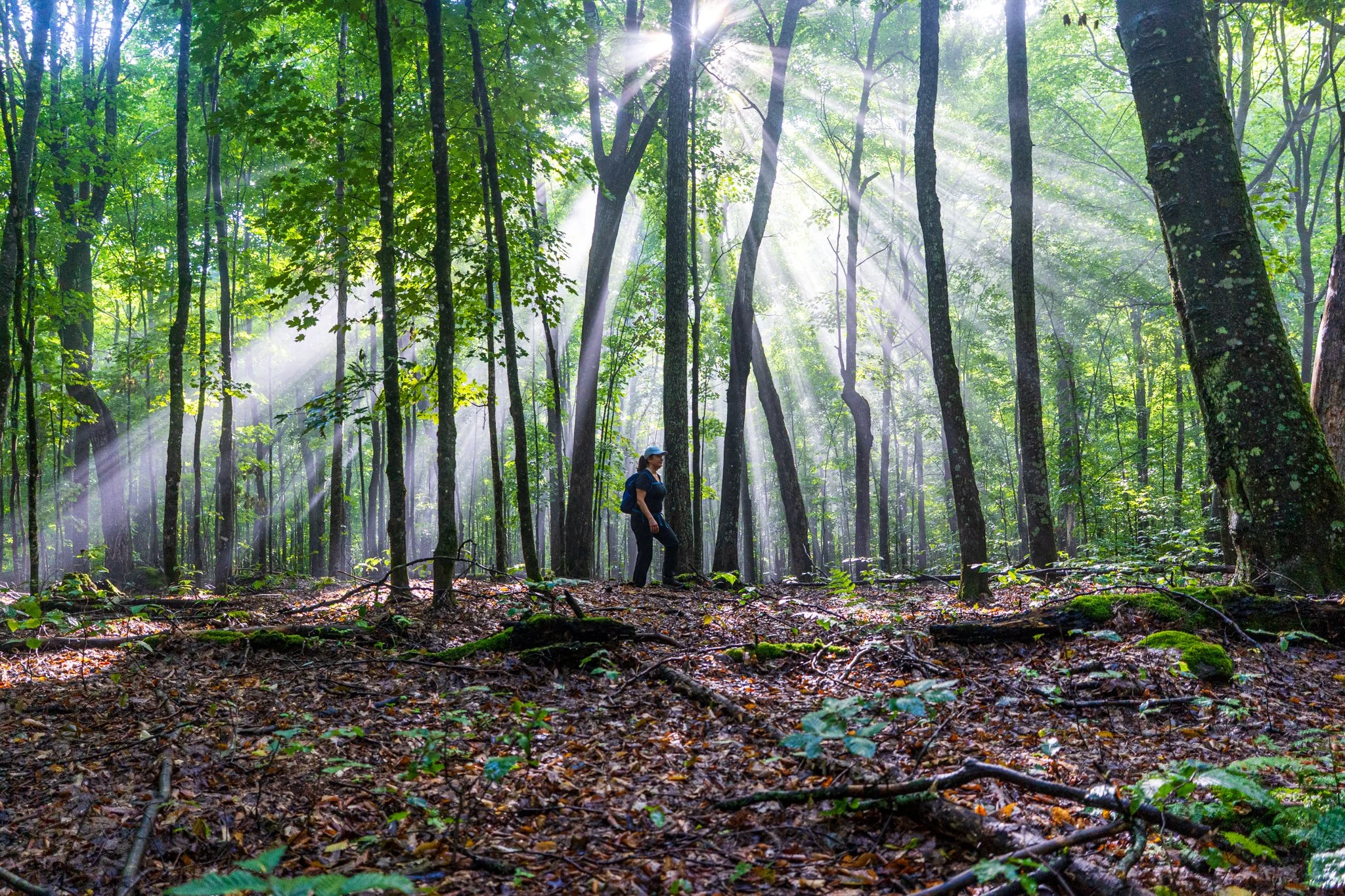 Rando parc régional Kiamika (Laurentides)