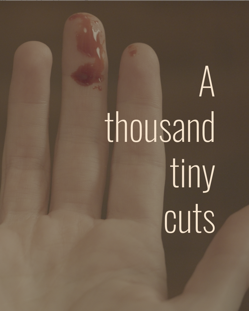 A Thousand Tiny Cuts (2026) director. writer.