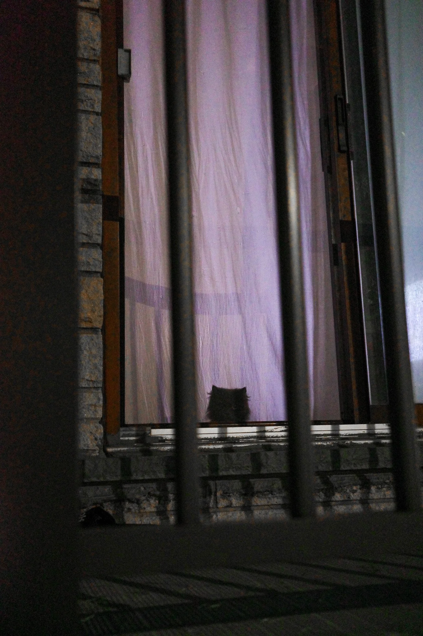 R0005038.jpg