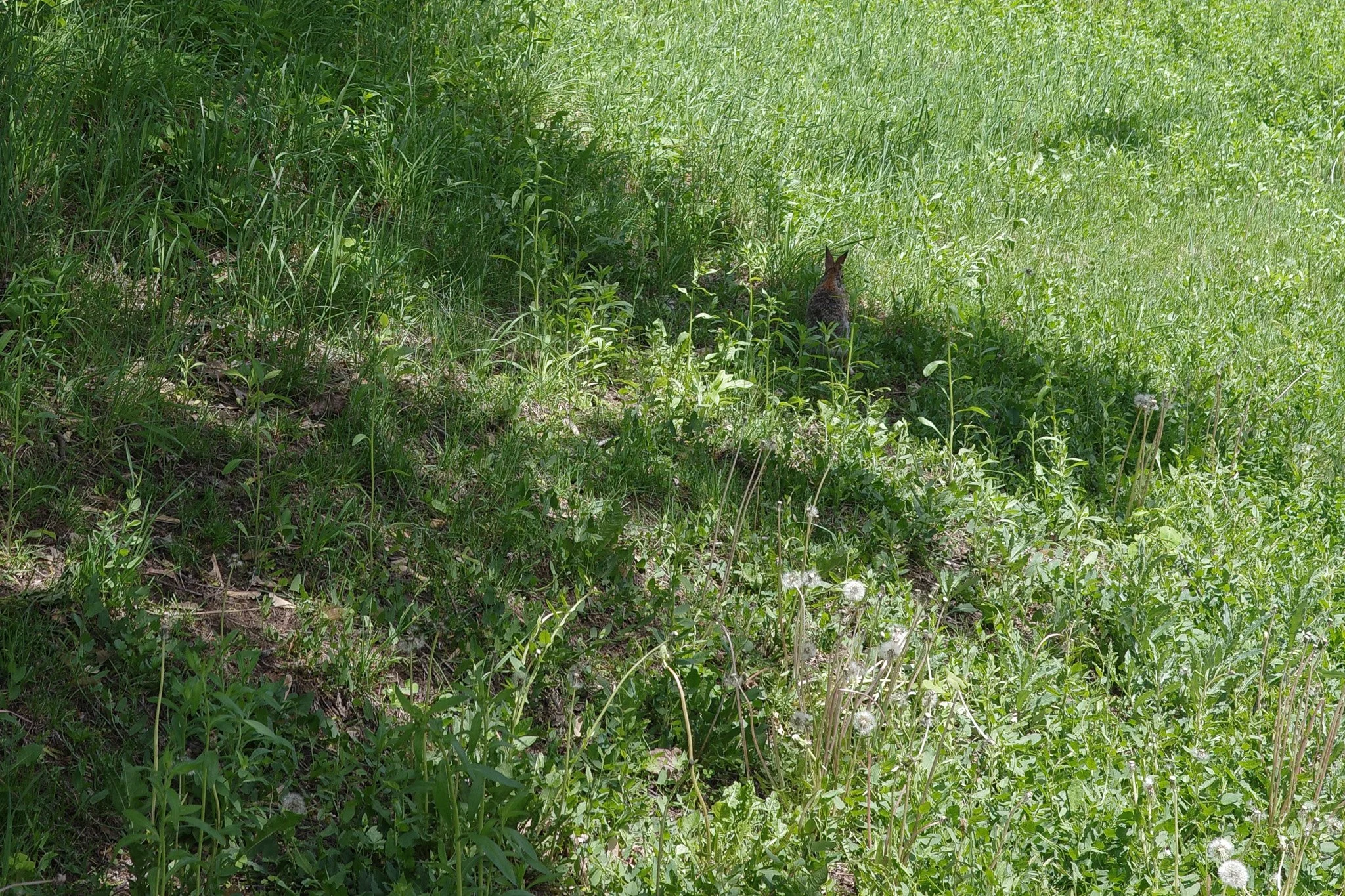 R0005317.jpg