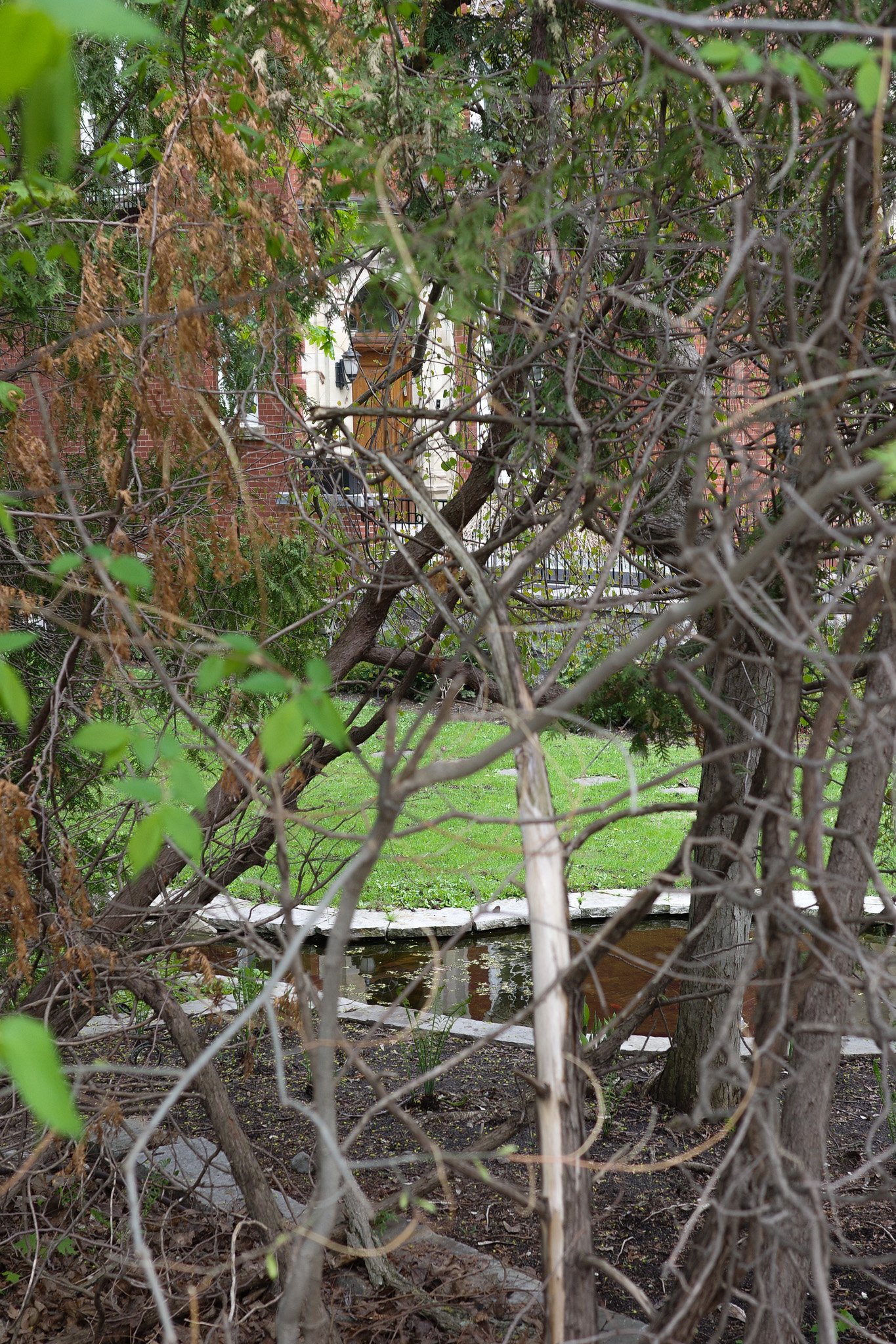 R0004934.jpg