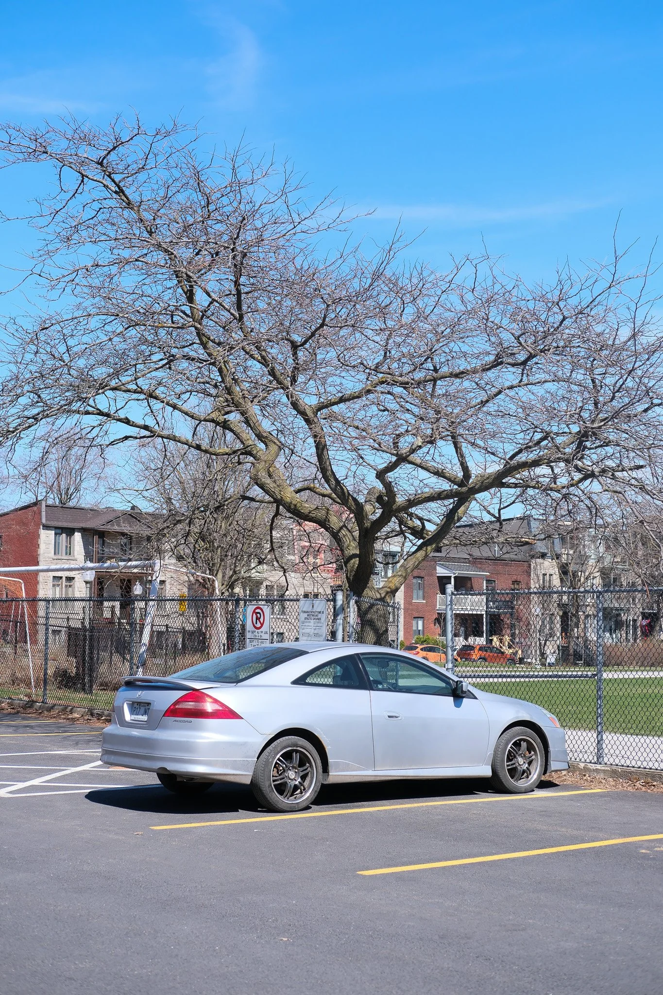 DSCF2452.jpg