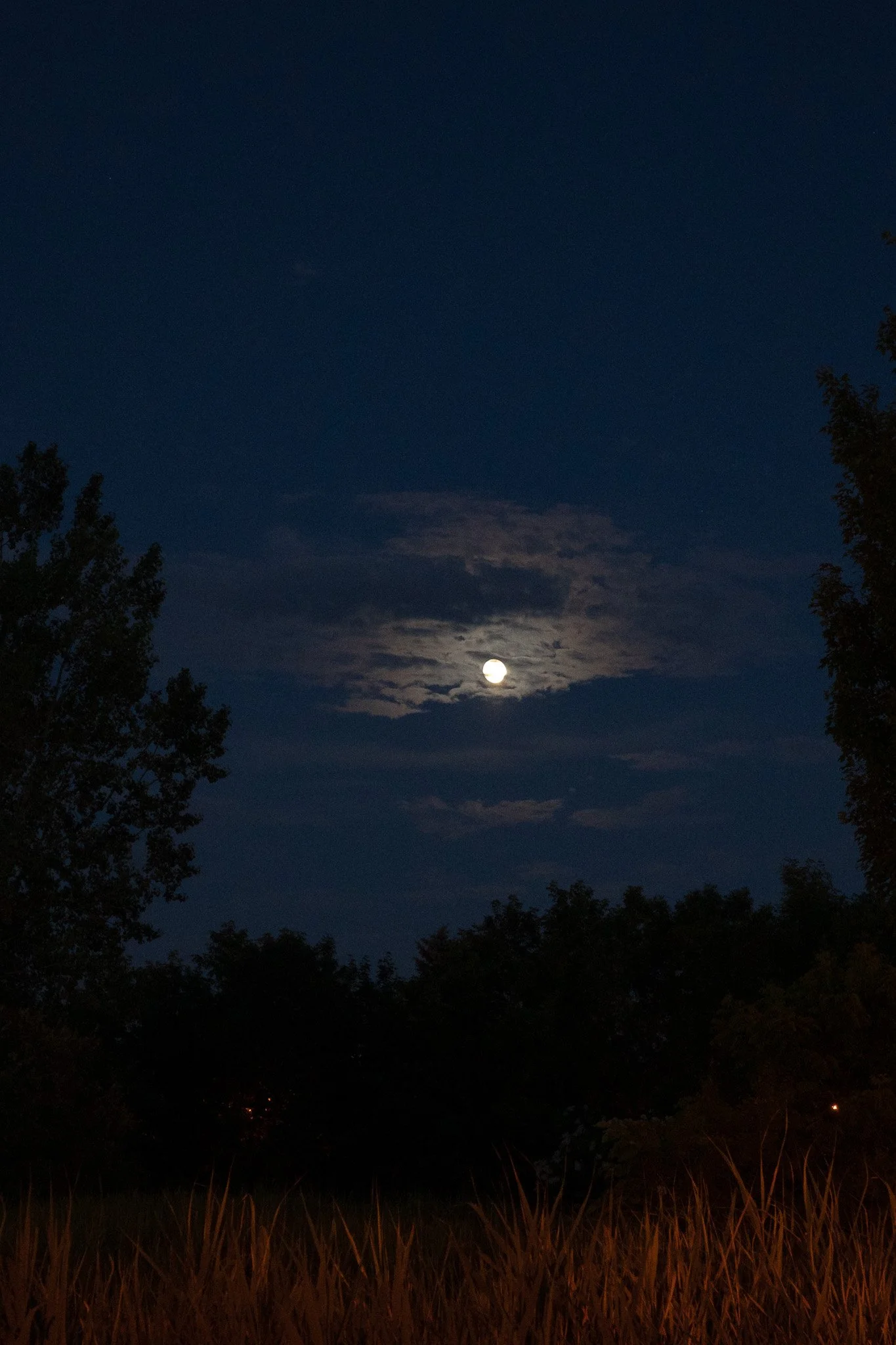 R0005929.jpg