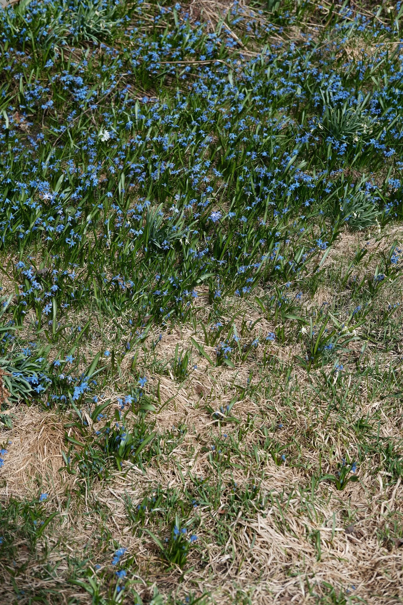 DSCF1899.jpg
