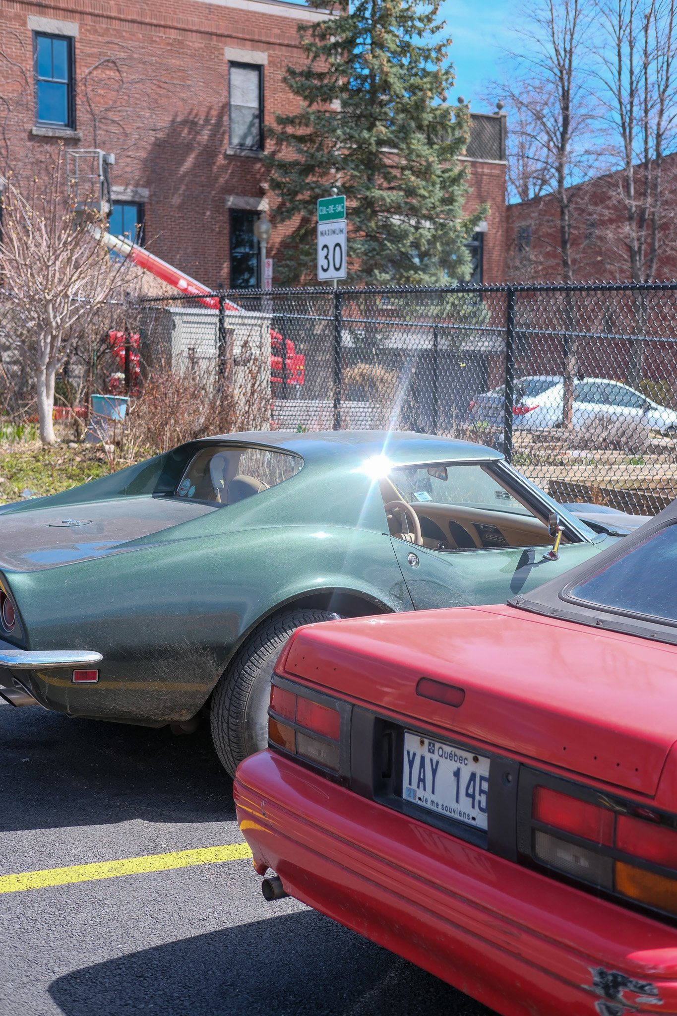 DSCF2431.jpg