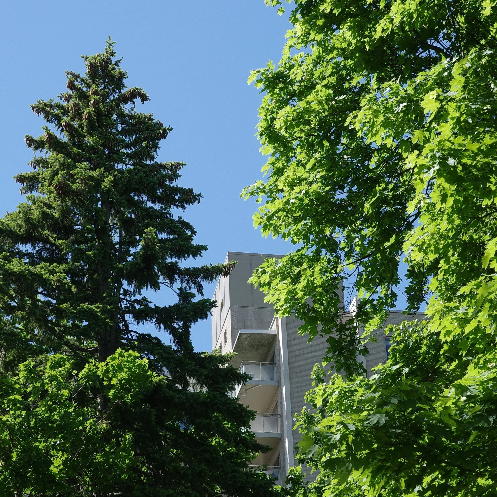 R0005303.jpg