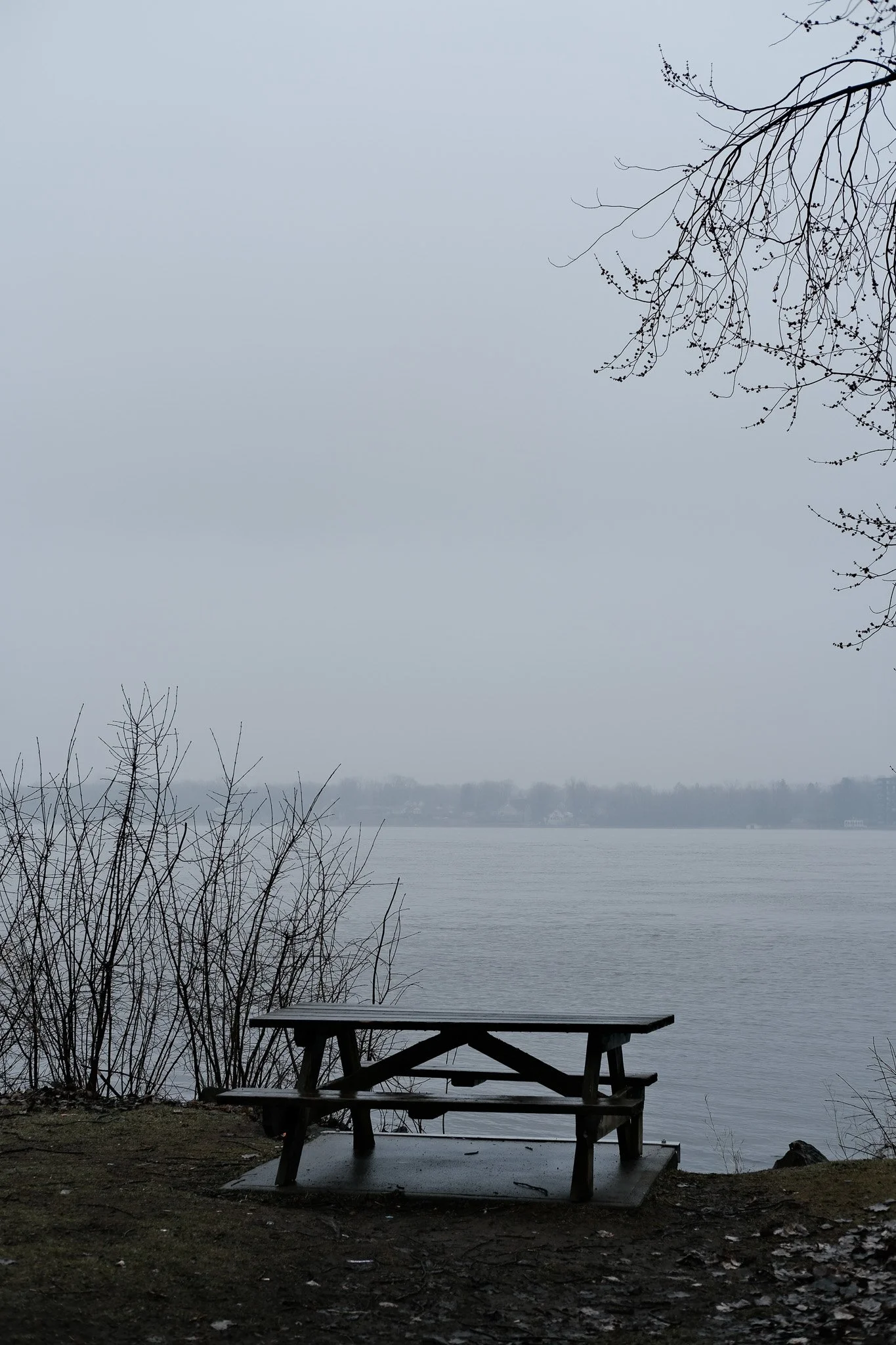 DSCF1854.jpg