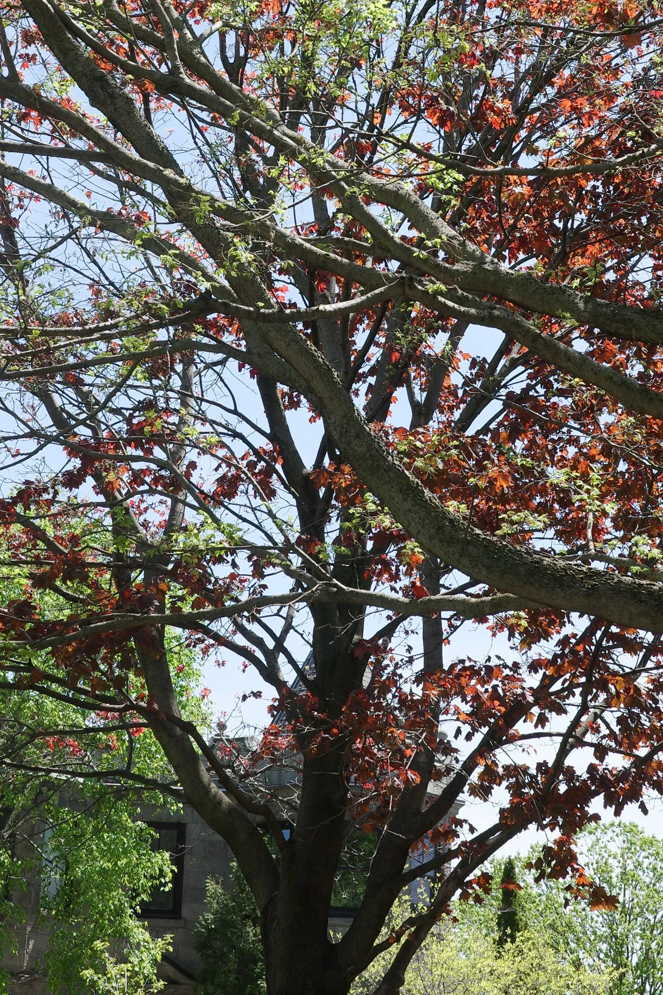 R0005188.jpg