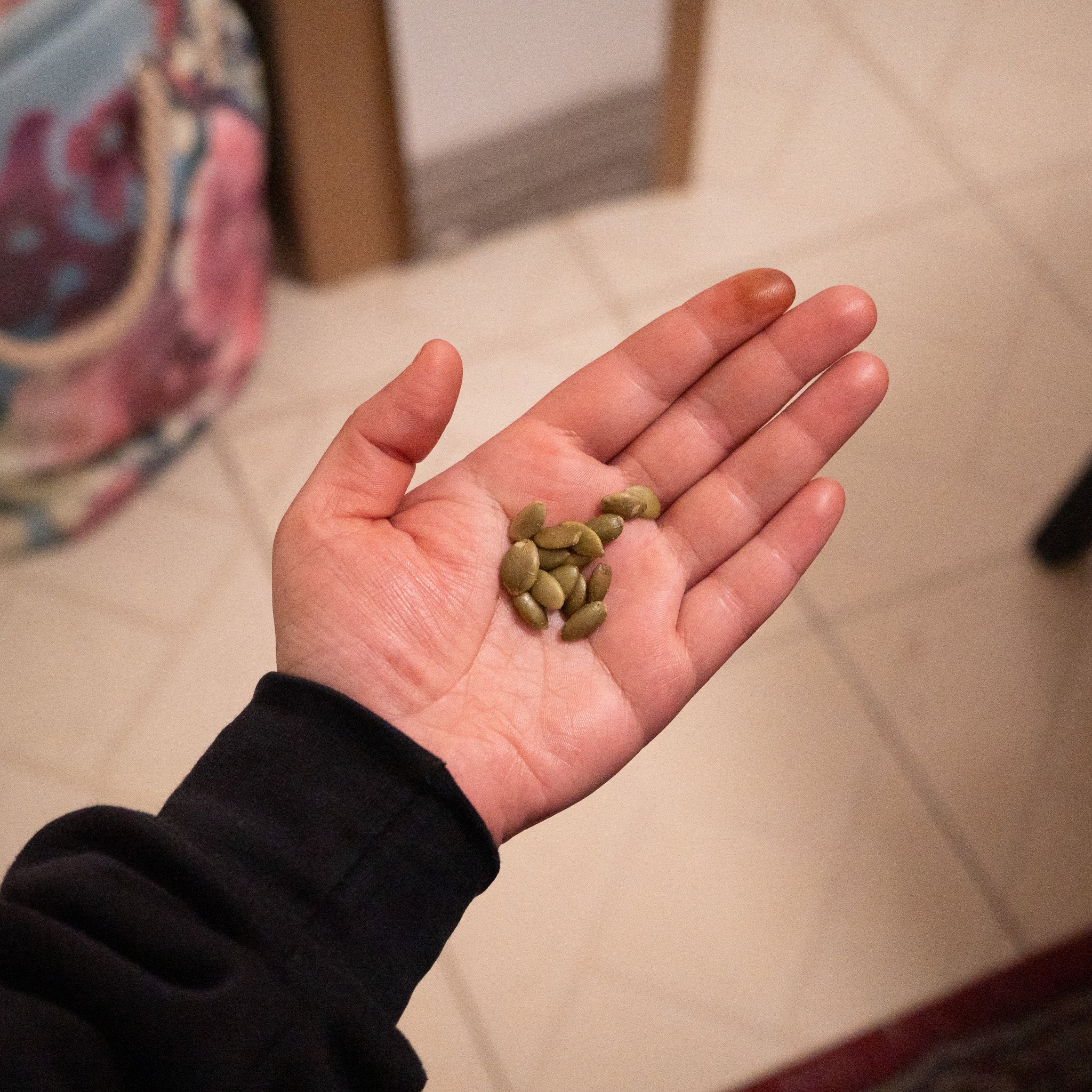 Saturday January 3 Night: Sleepover at Sweet's