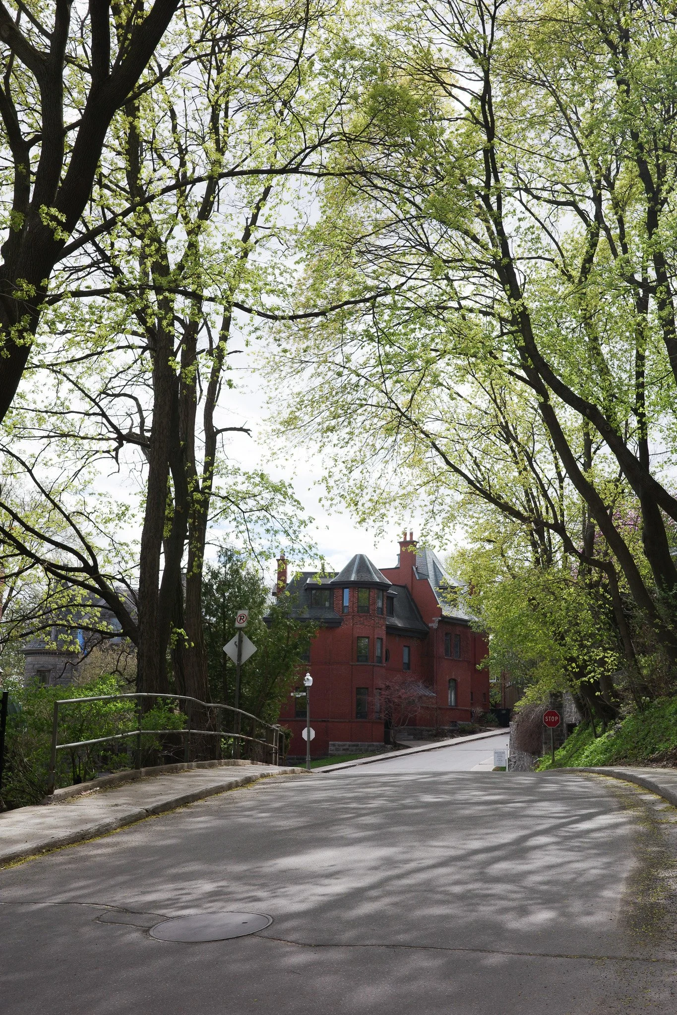 R0004929.jpg