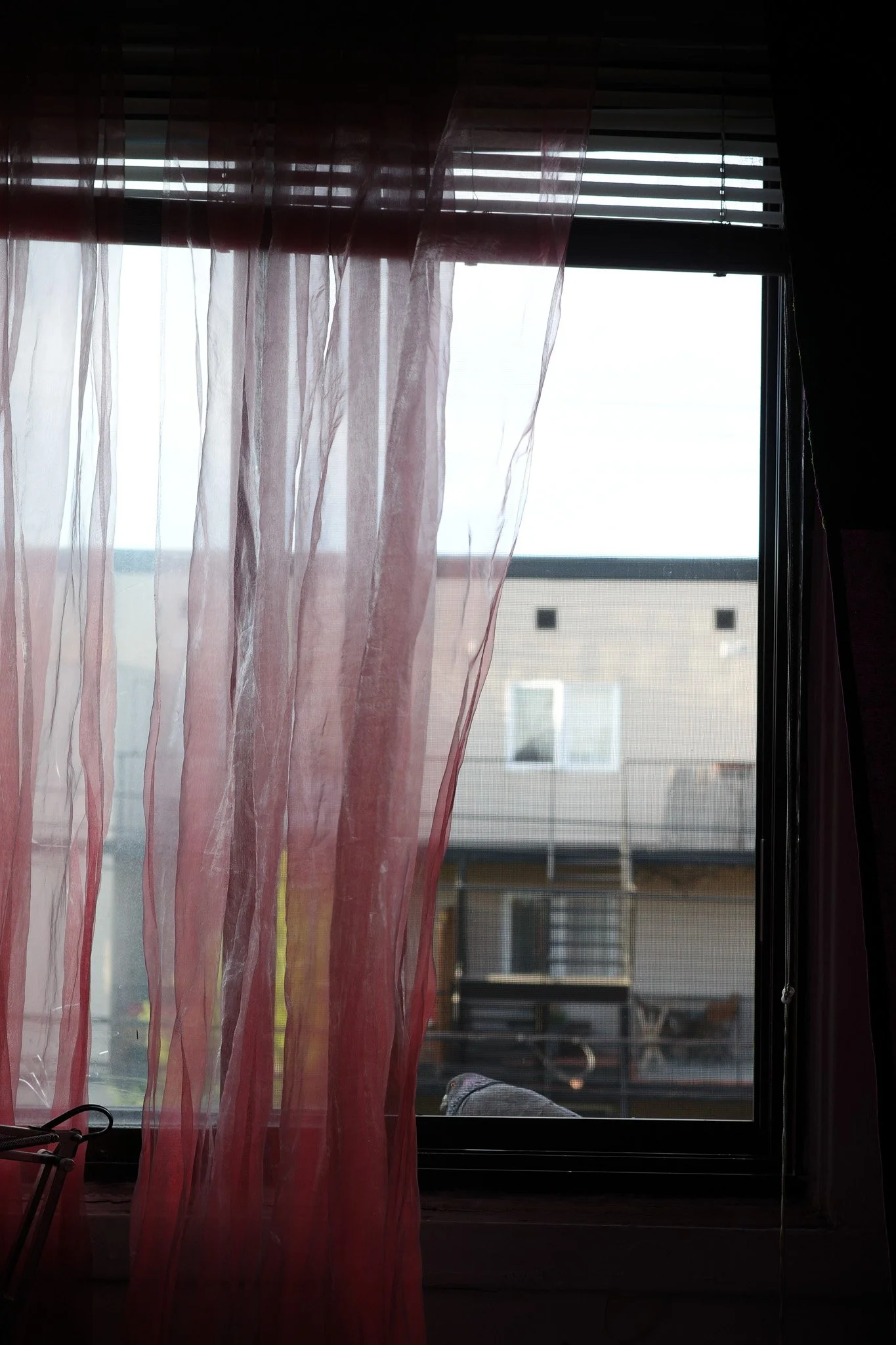 R0005180.jpg