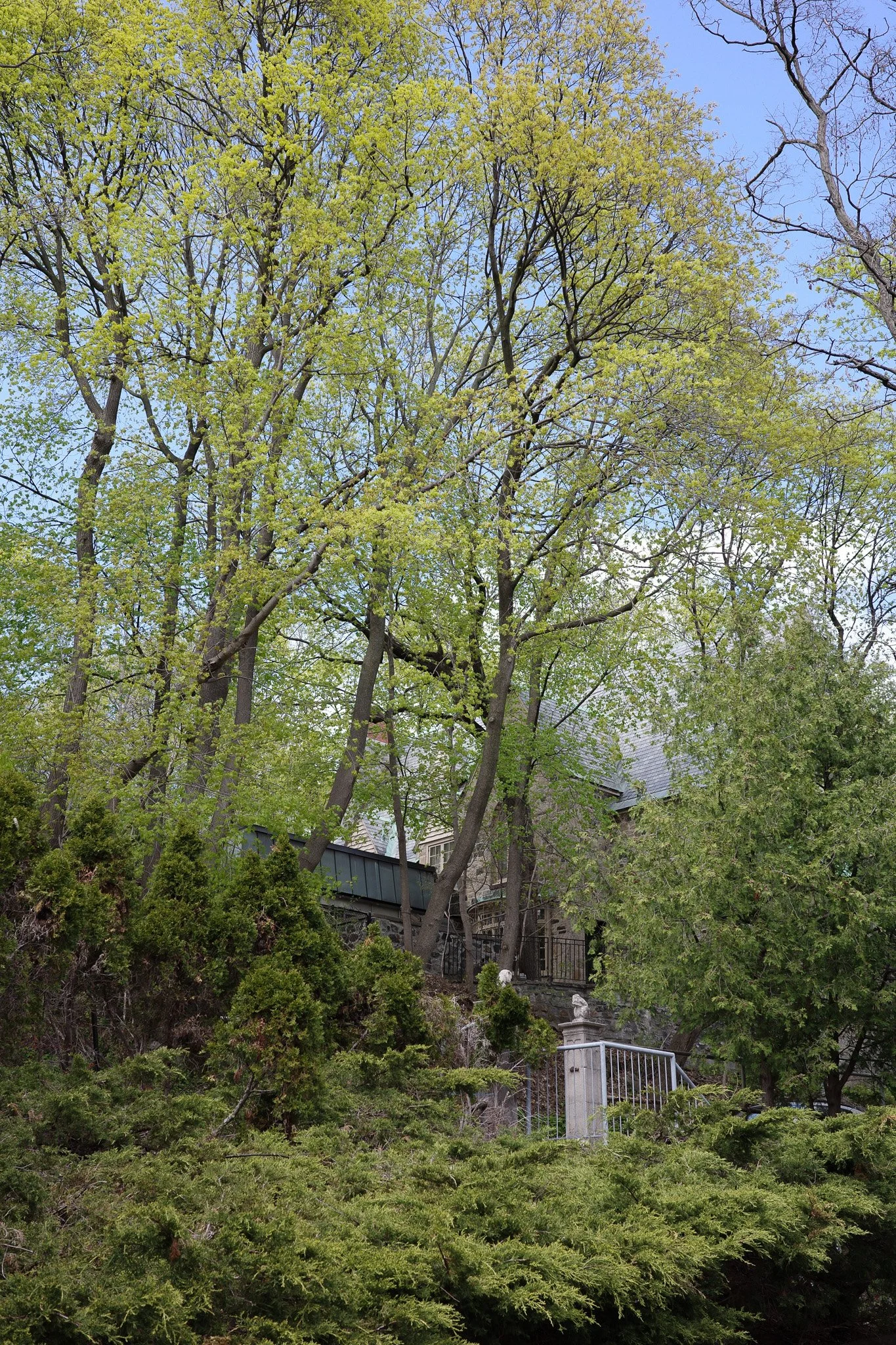 R0004933.jpg