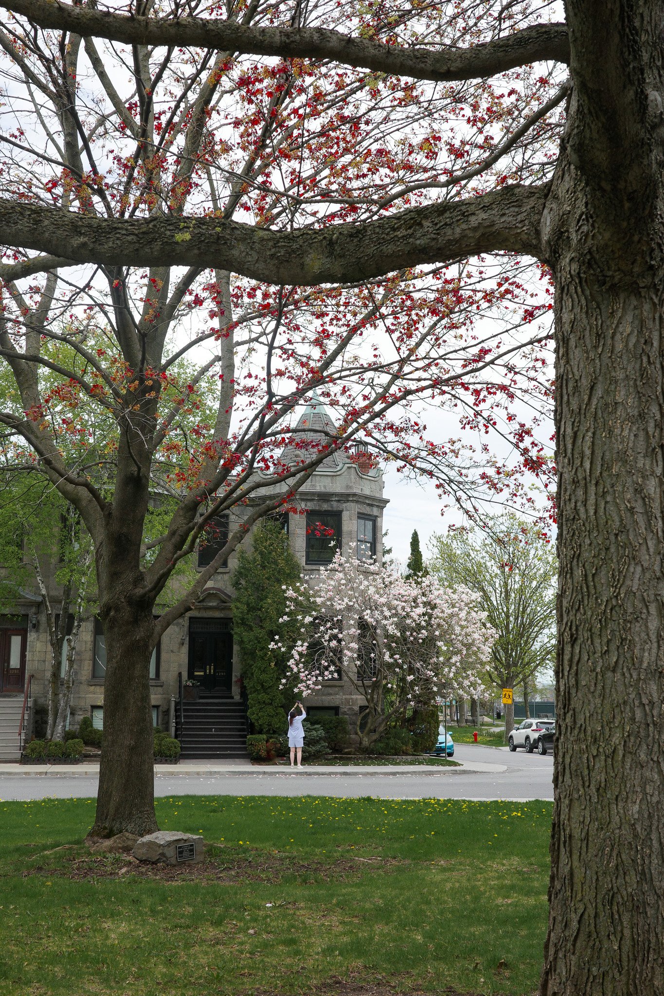 R0005030.jpg