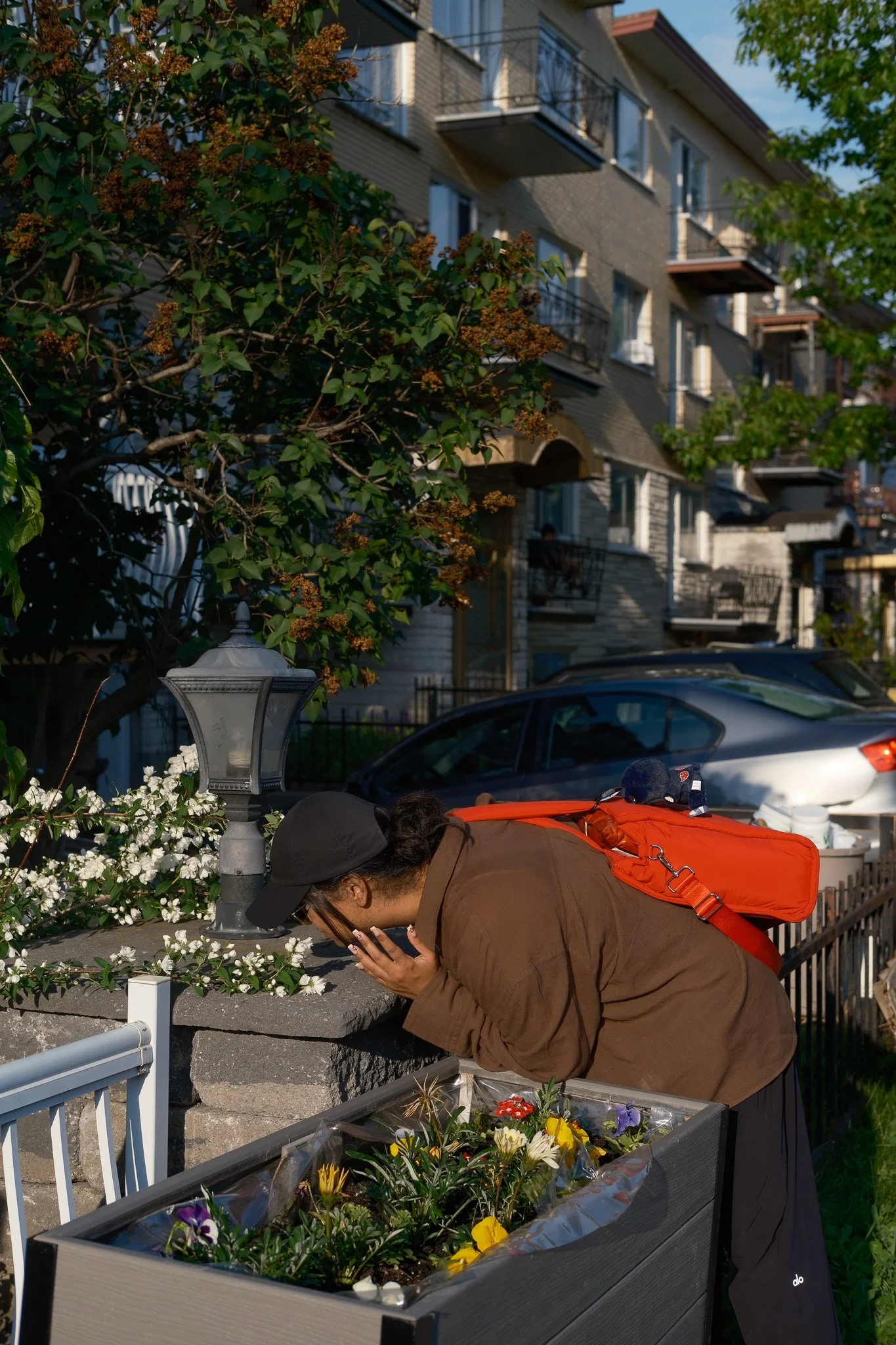 DSCF3143.jpg