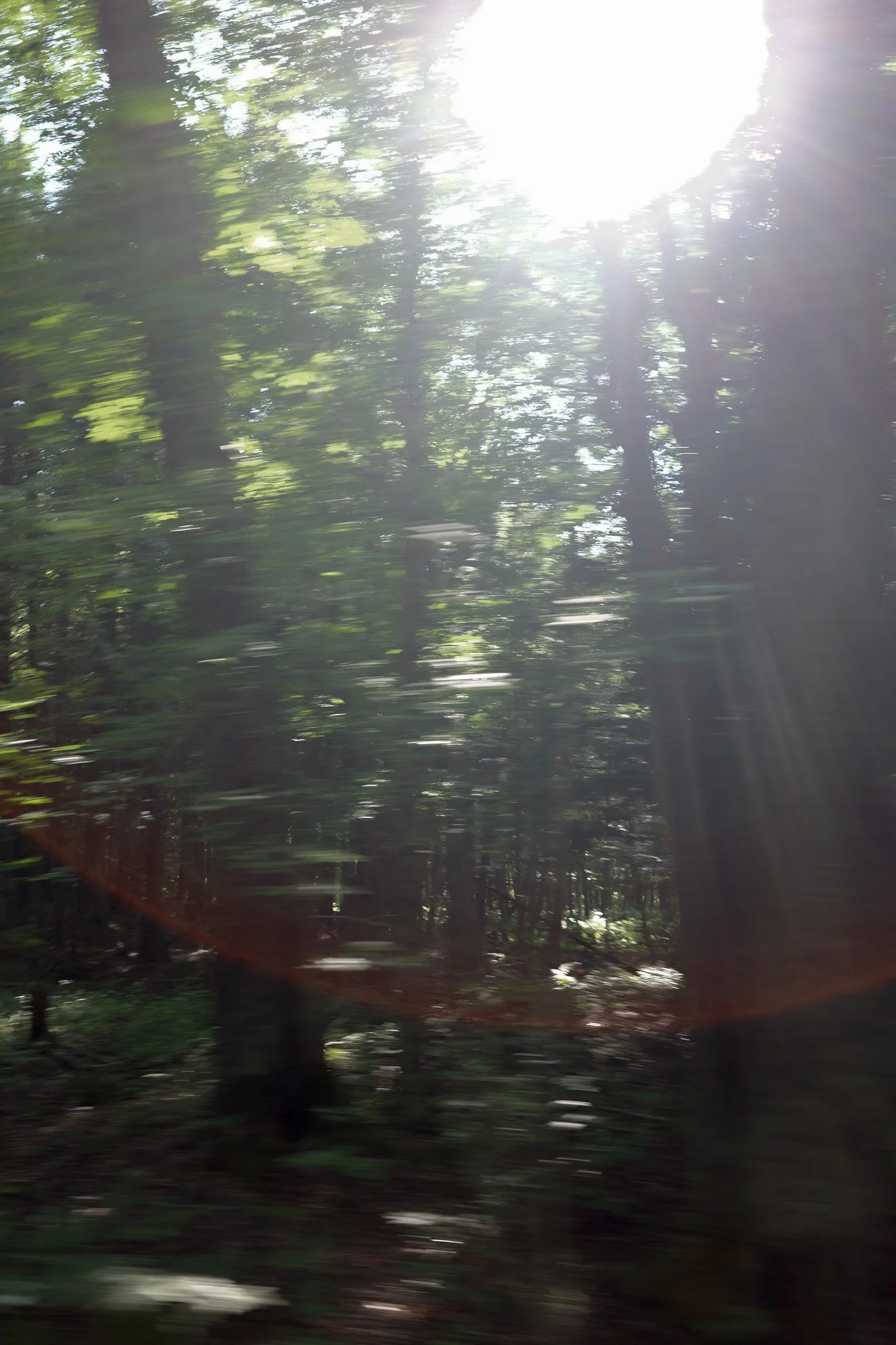 R0006179.jpg