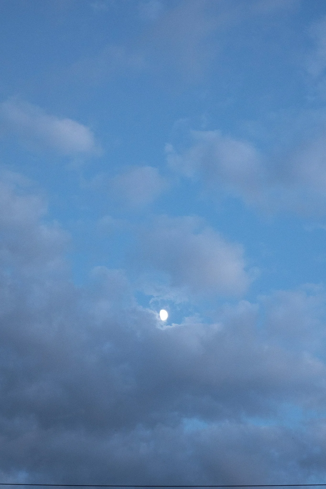 R0005853.jpg