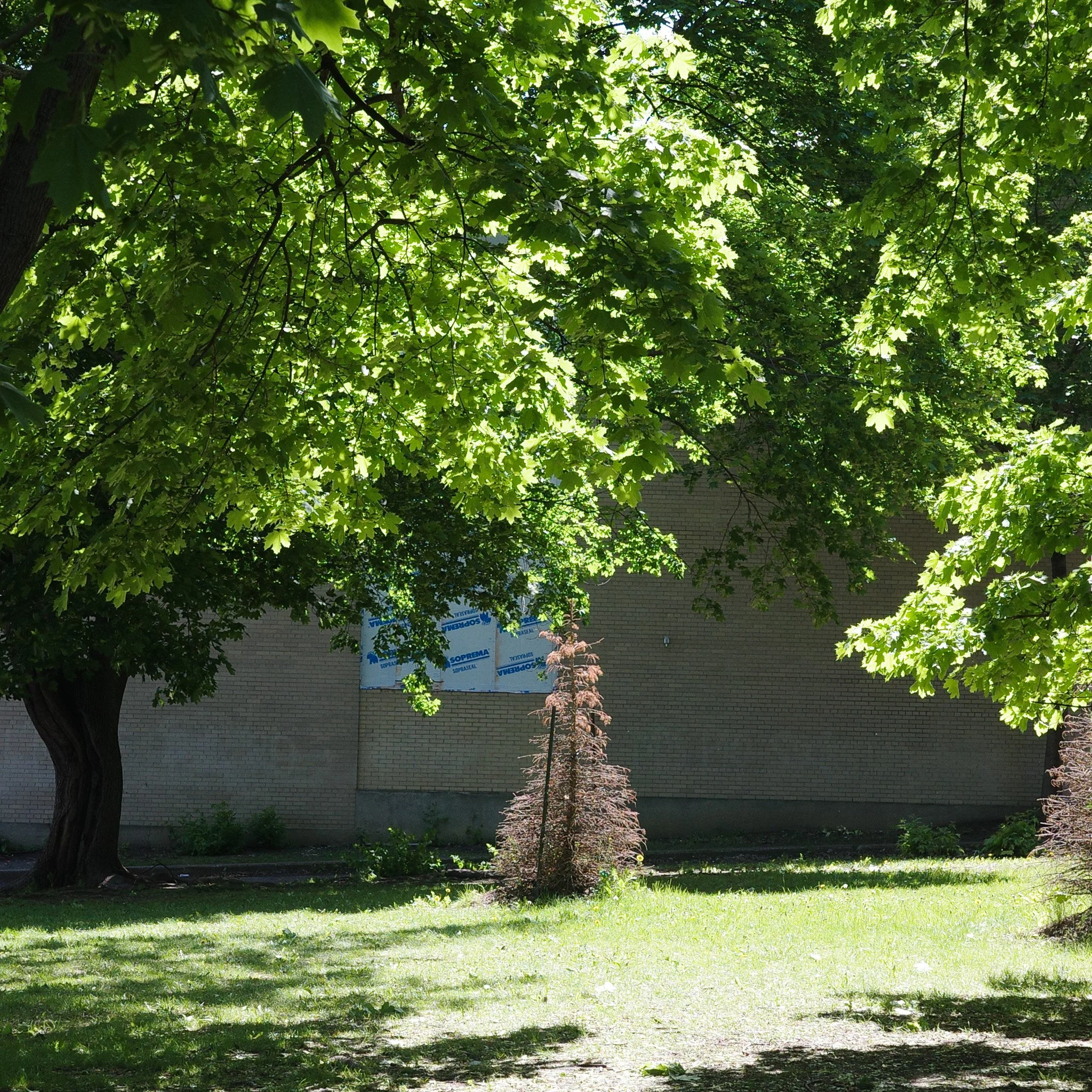 R0005304.jpg
