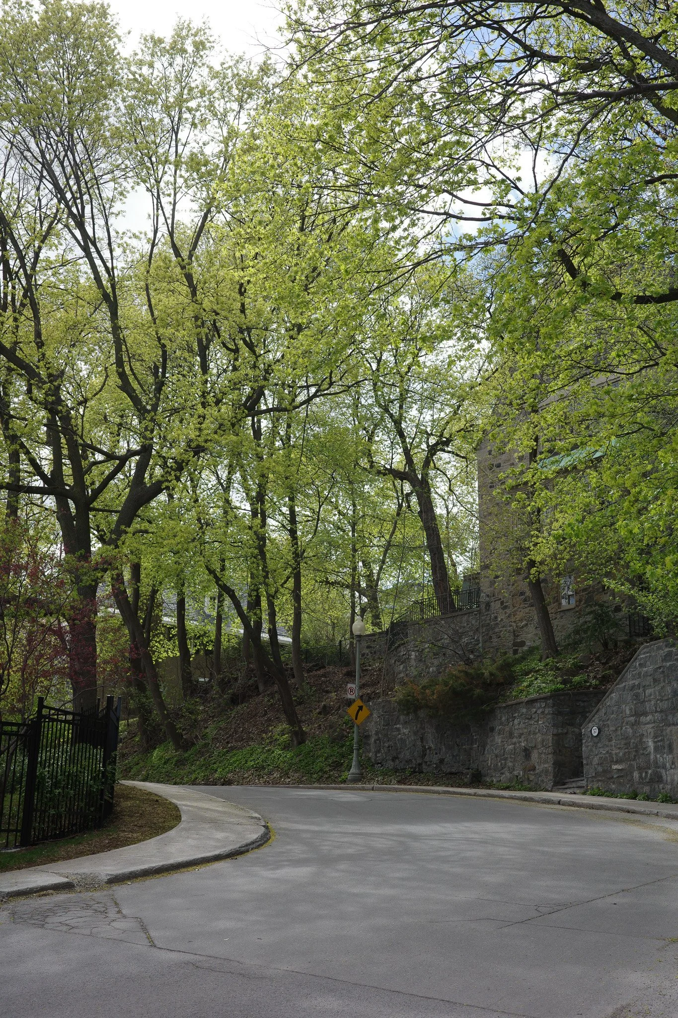 R0004928.jpg