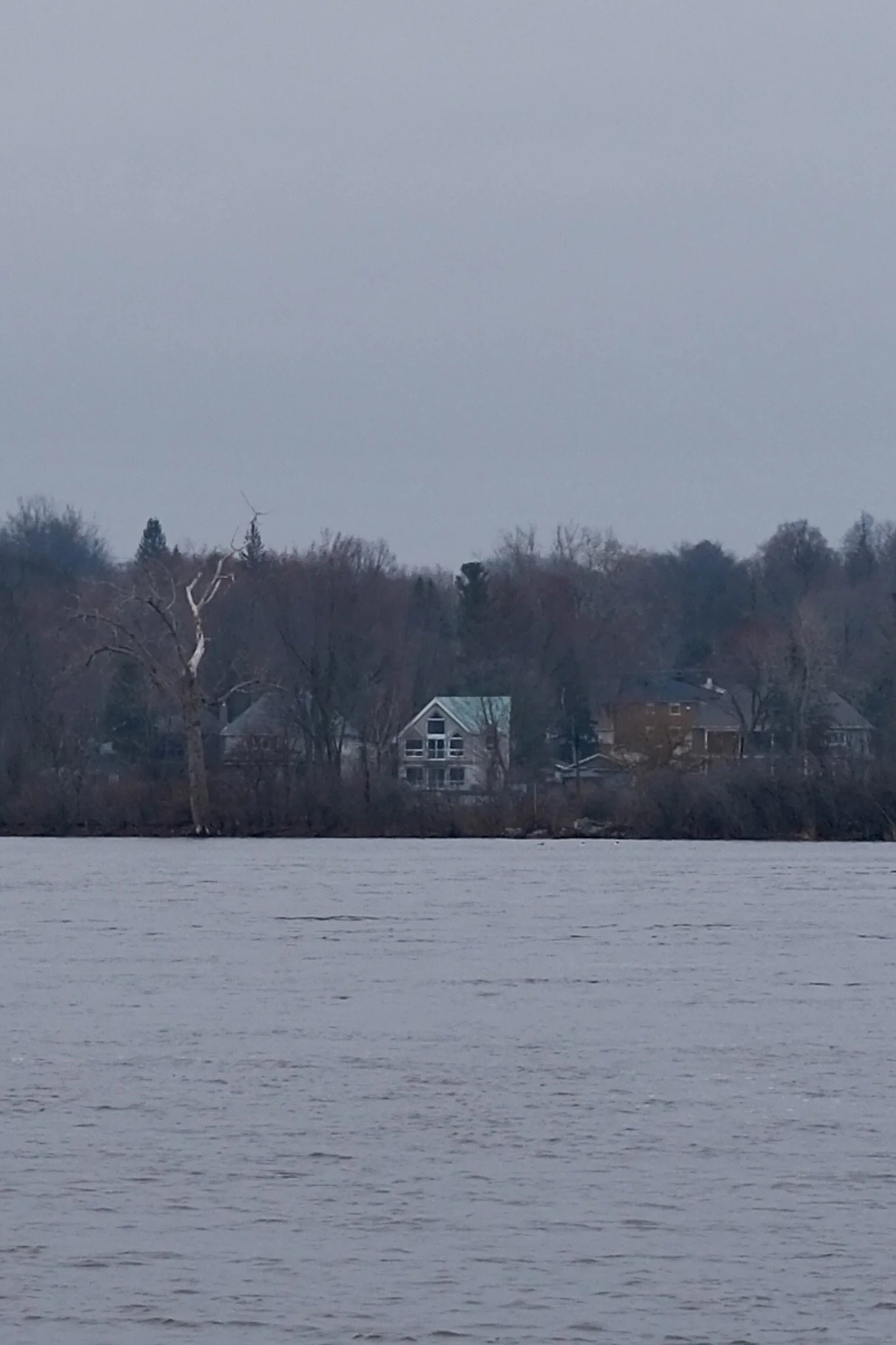 DSCF1837.jpg