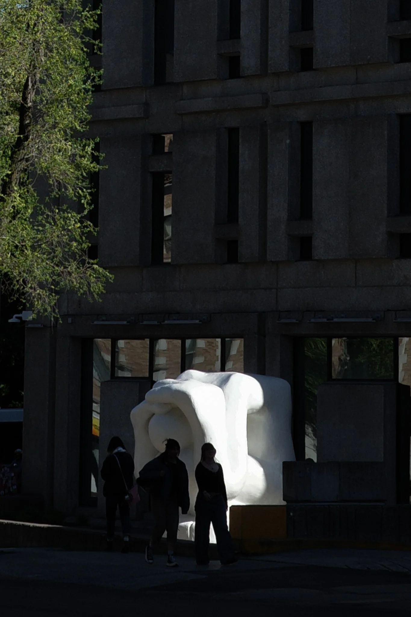 R0005206.jpg