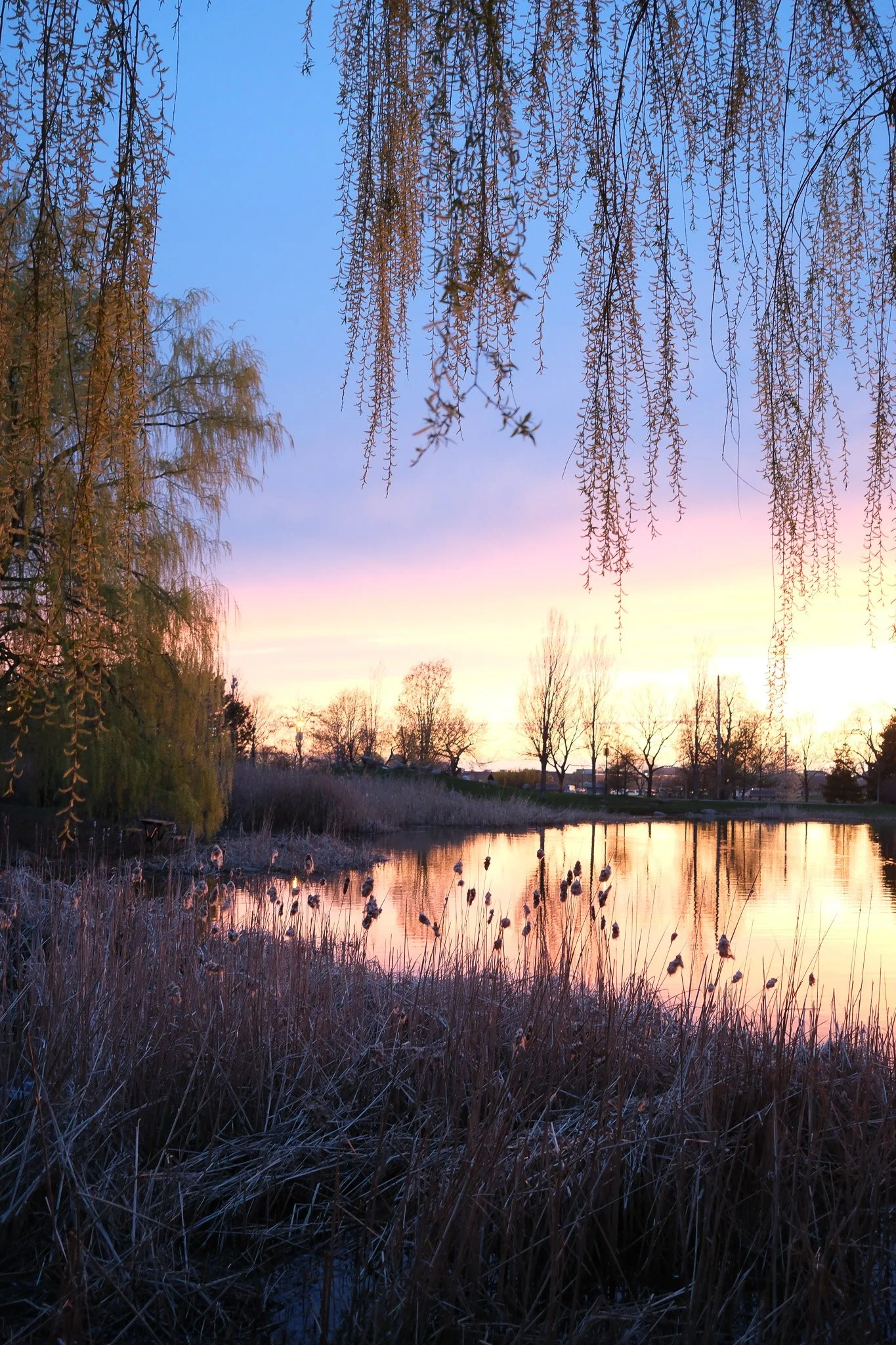 DSCF3076.jpg