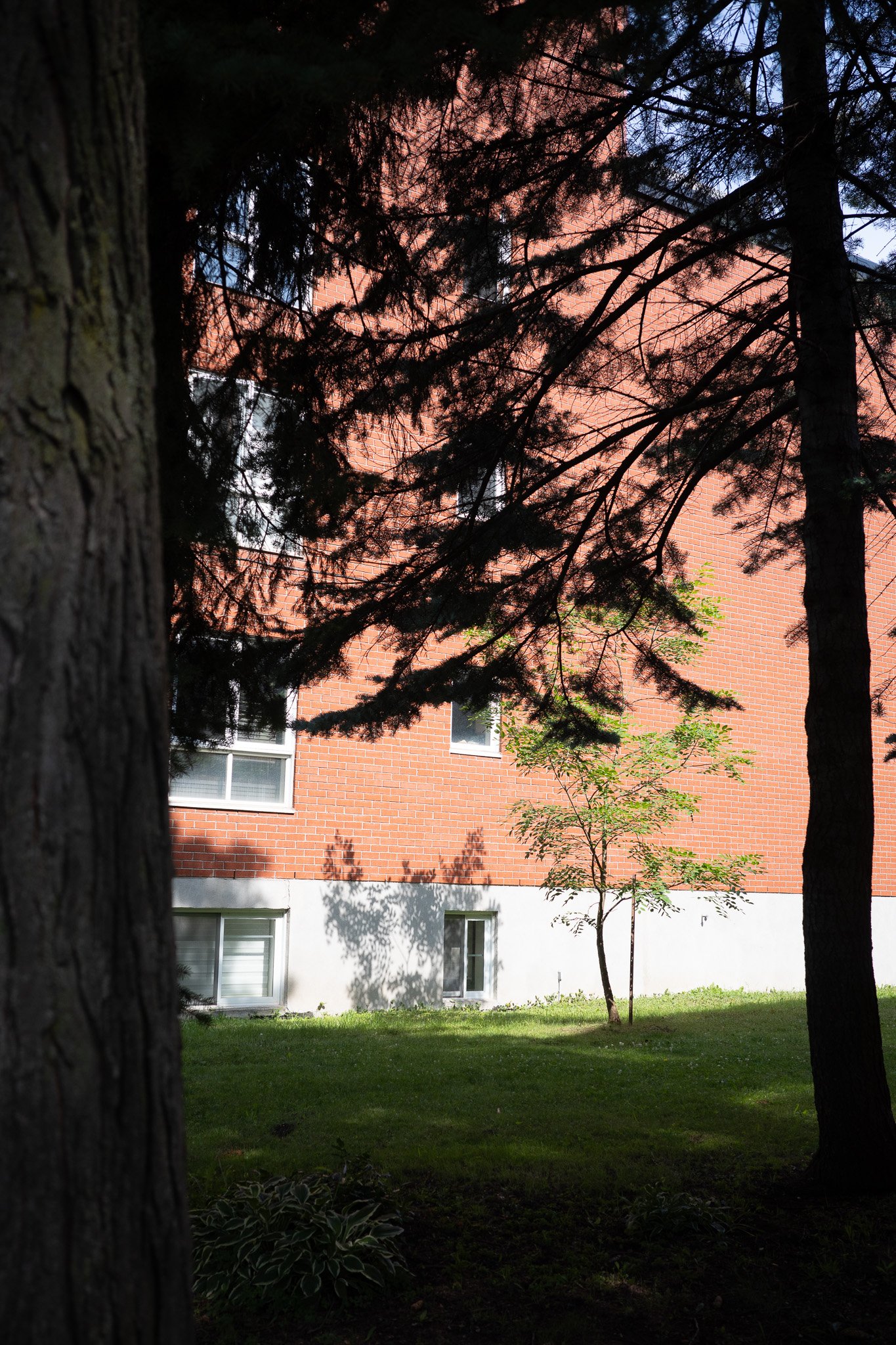 R0006378.jpg