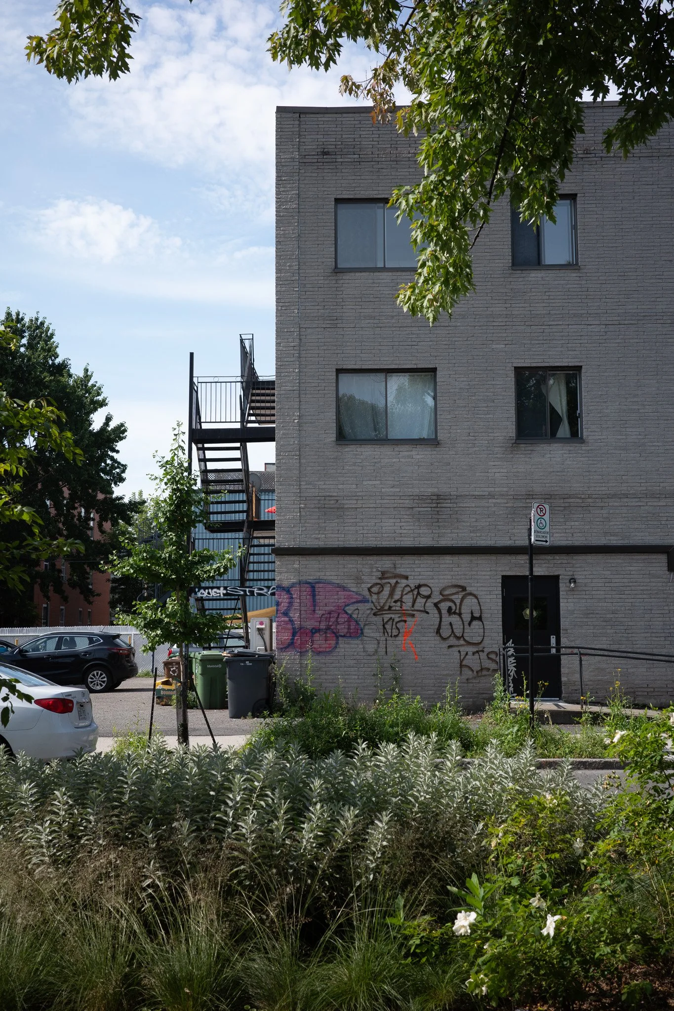 R0006377.jpg