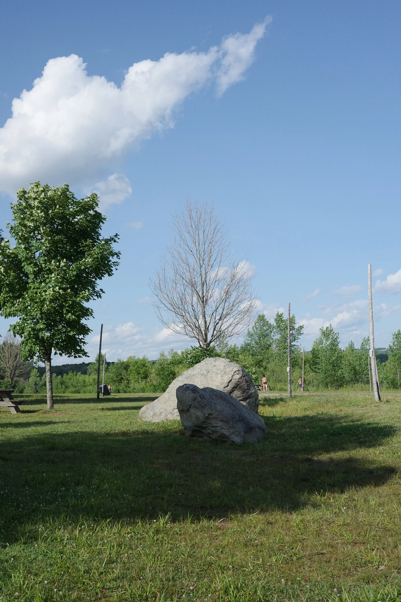 R0006159.jpg