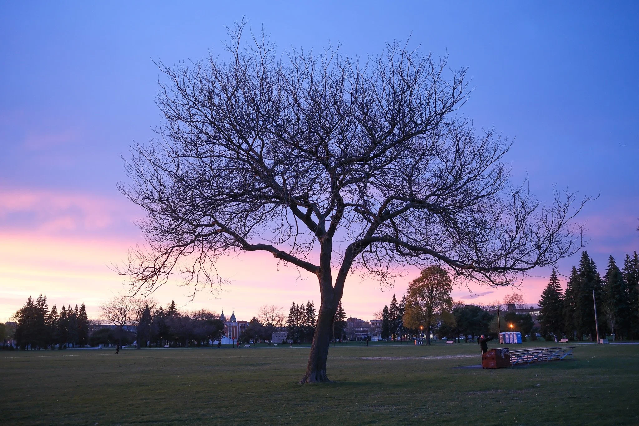 DSCF3067.jpg