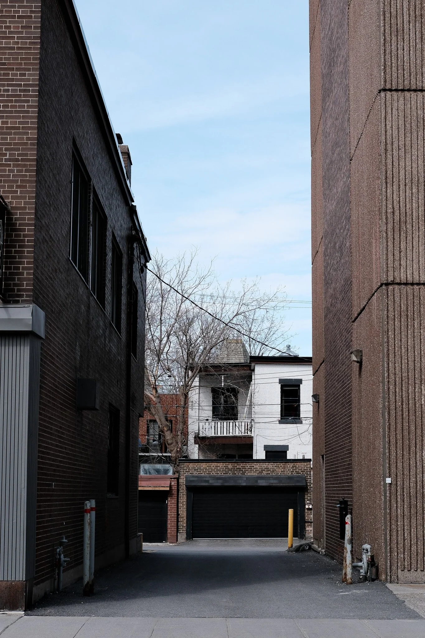 DSCF1908.jpg