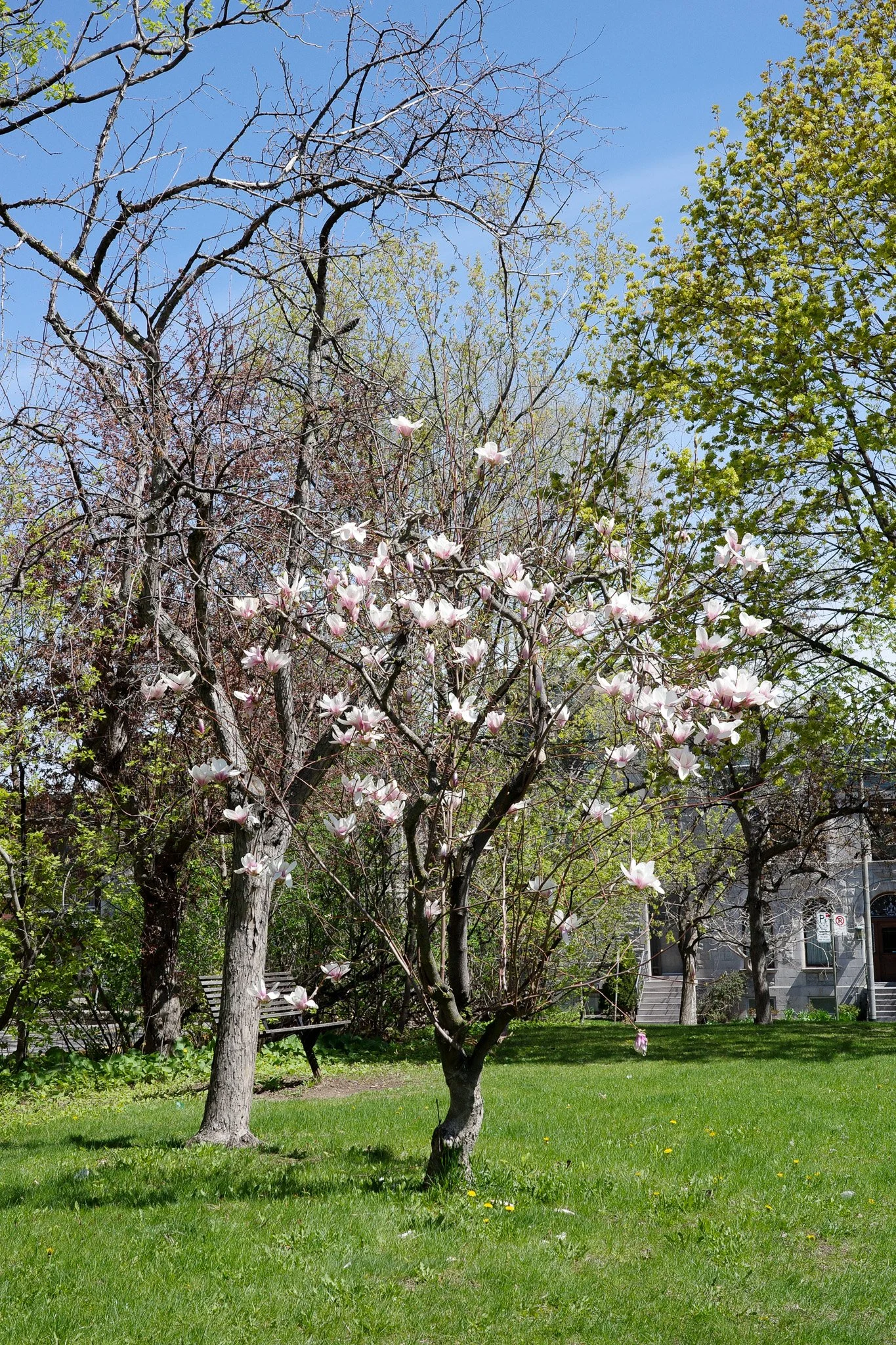 R0004888.jpg