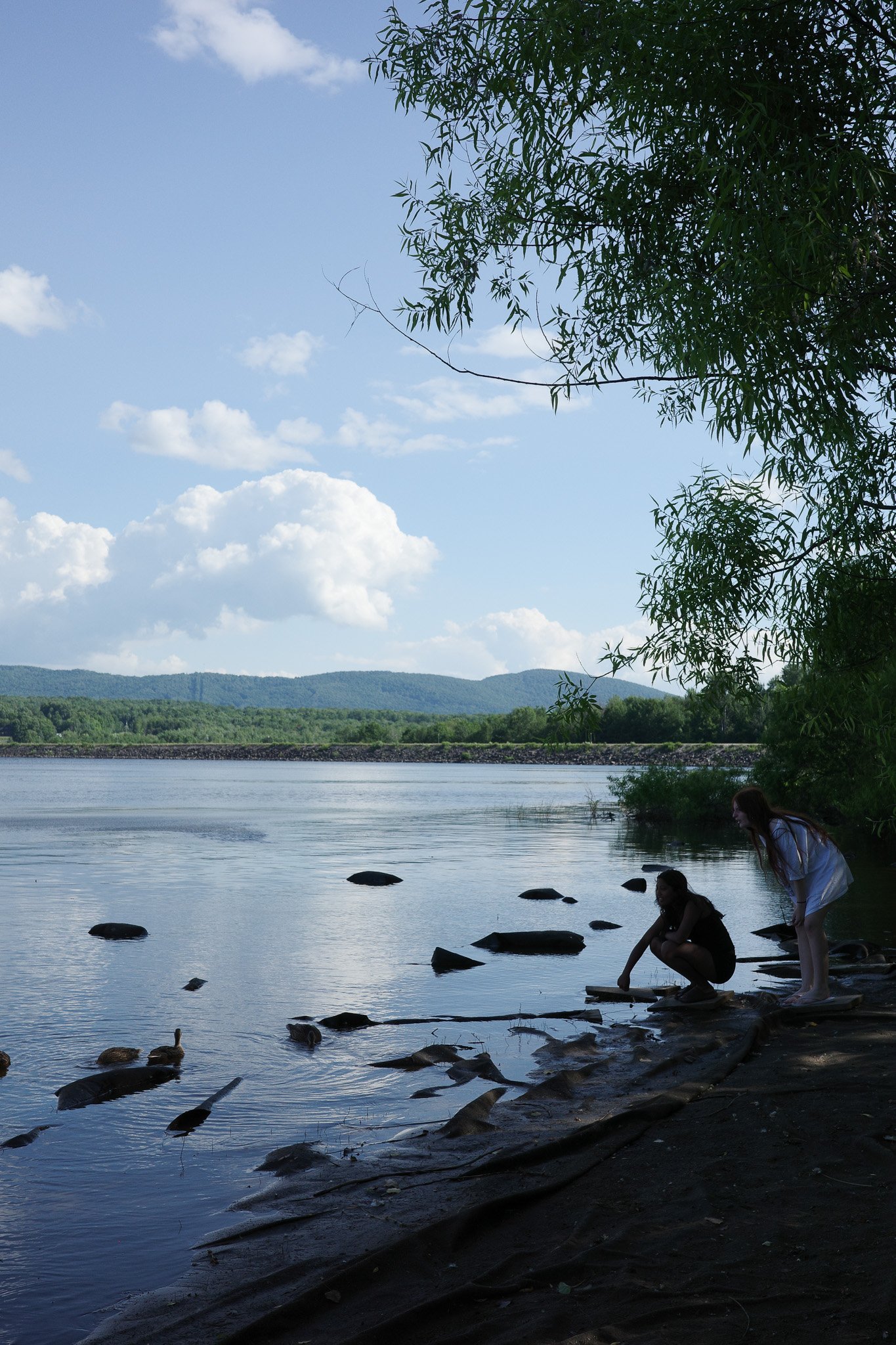 R0006074.jpg