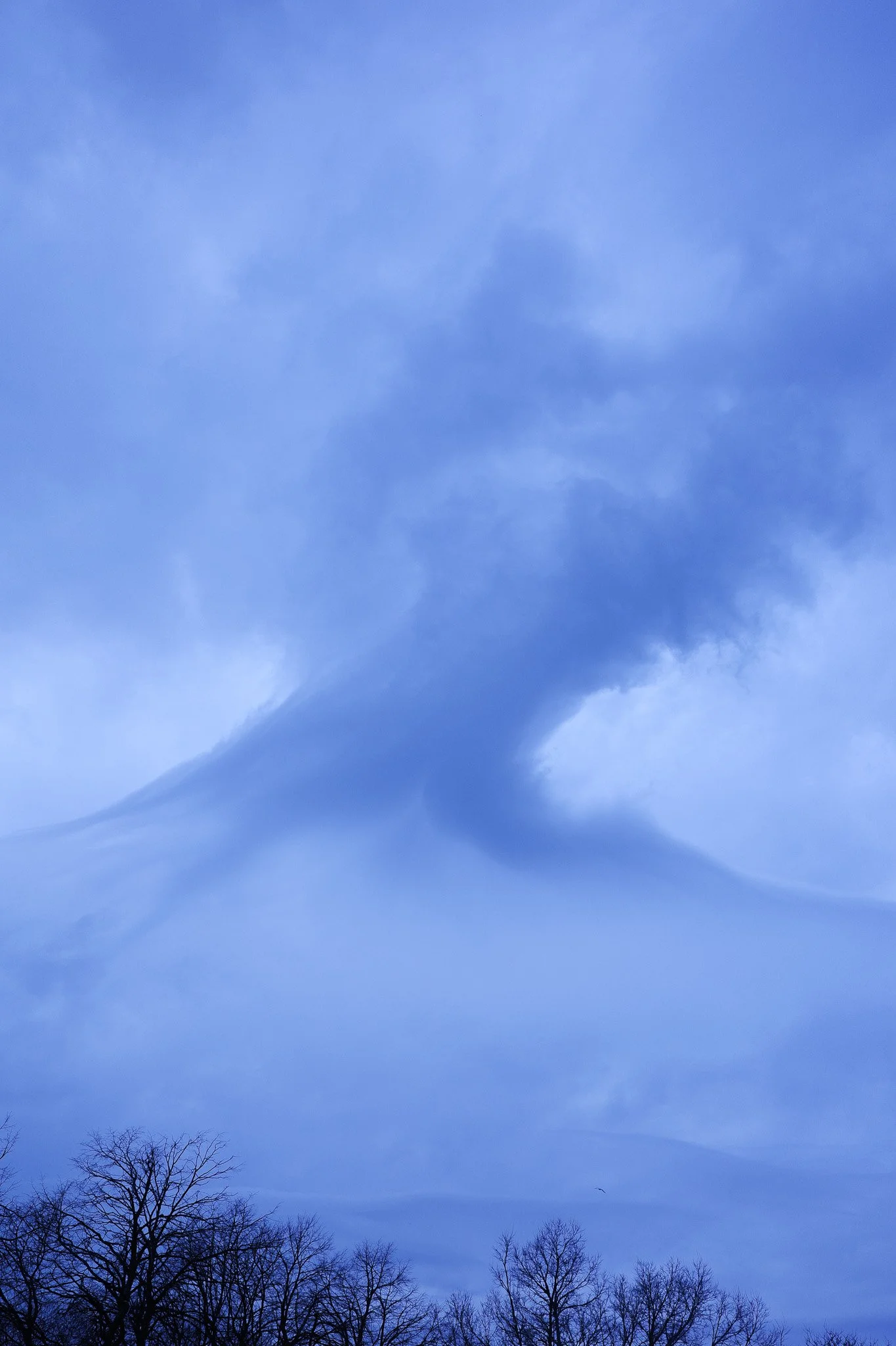 R0004836.jpg
