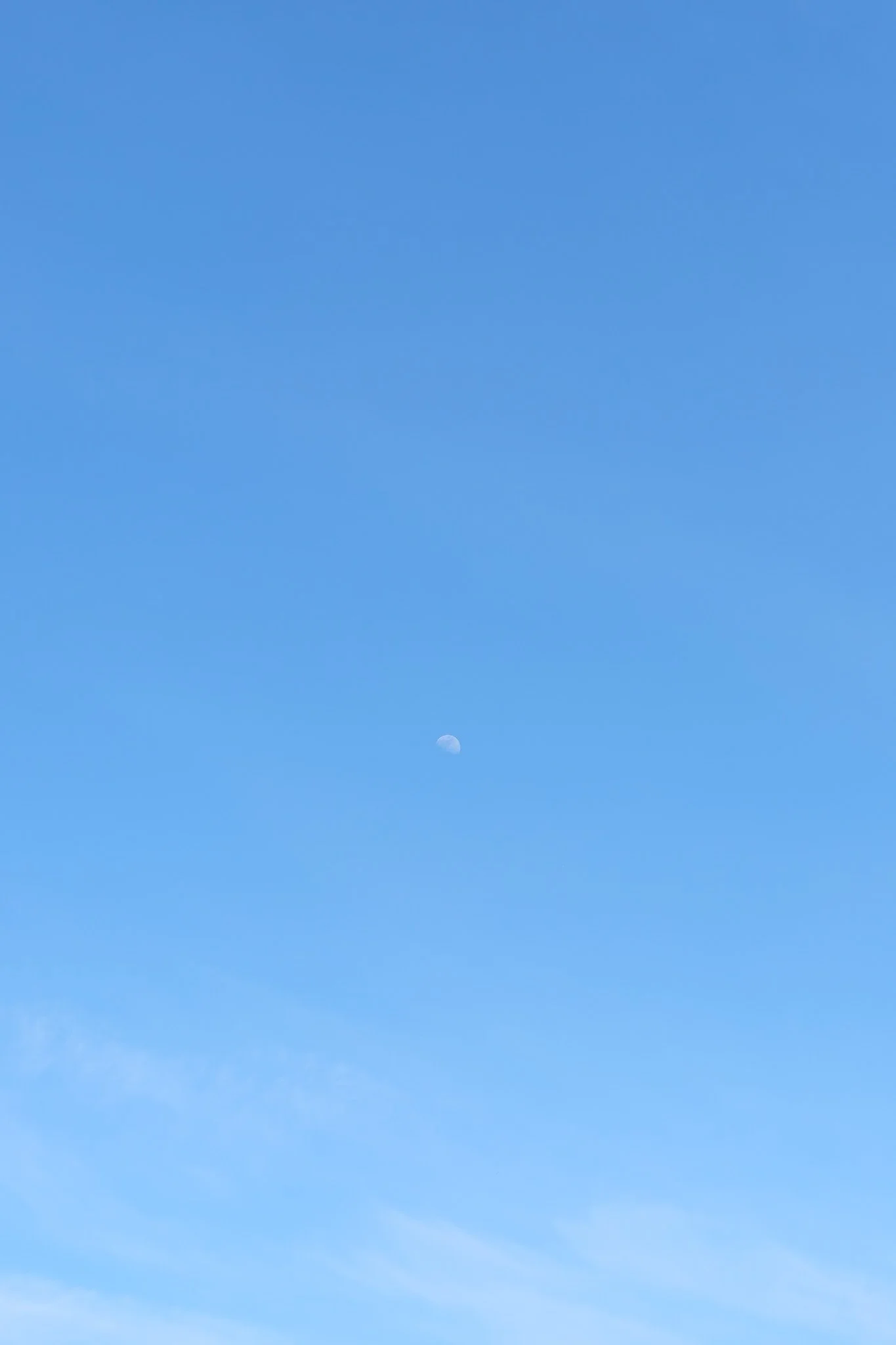 DSCF2451.jpg